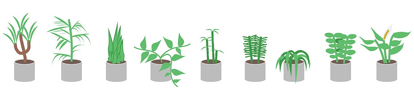 Flow Air Purify，Air purification system，Botany，