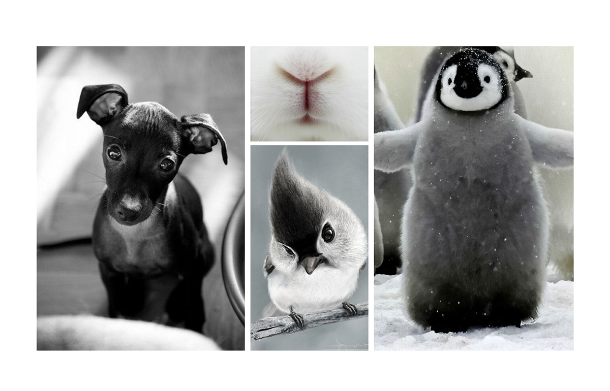 product design，clear，inspiration，good，evil，black，white，conceptual design，Mop，Cleaning appliances，dryer，