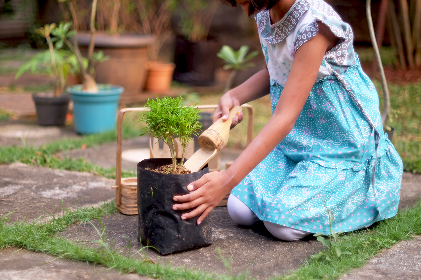 manual，Bamboo products，gardening，tool，children，