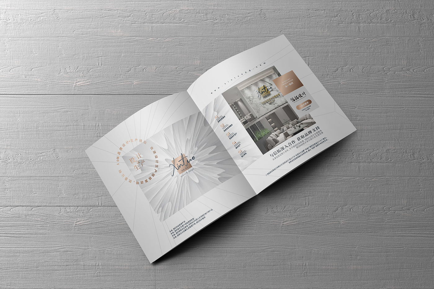 Brochure Design ，electronic product，Visual design，Layout design，visual effect，Simplicity，Album layout，