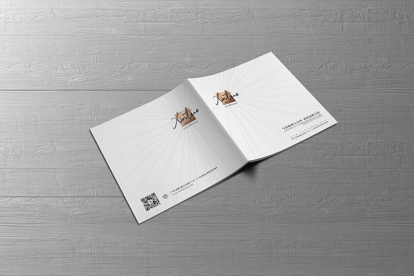 Brochure Design ，electronic product，Visual design，Layout design，visual effect，Simplicity，Album layout，