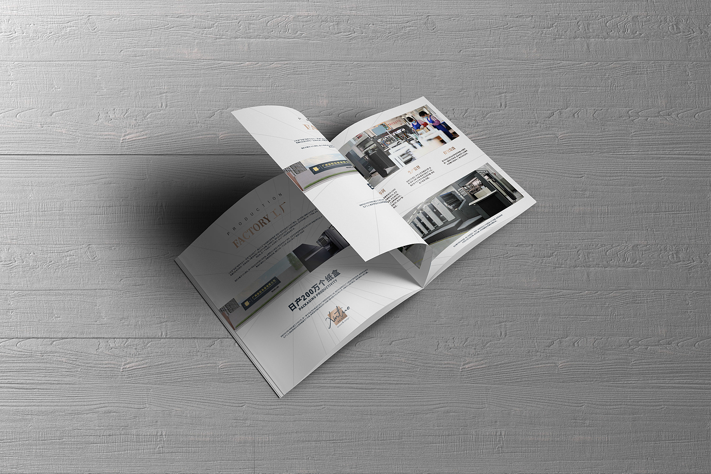 Brochure Design ，electronic product，Visual design，Layout design，visual effect，Simplicity，Album layout，