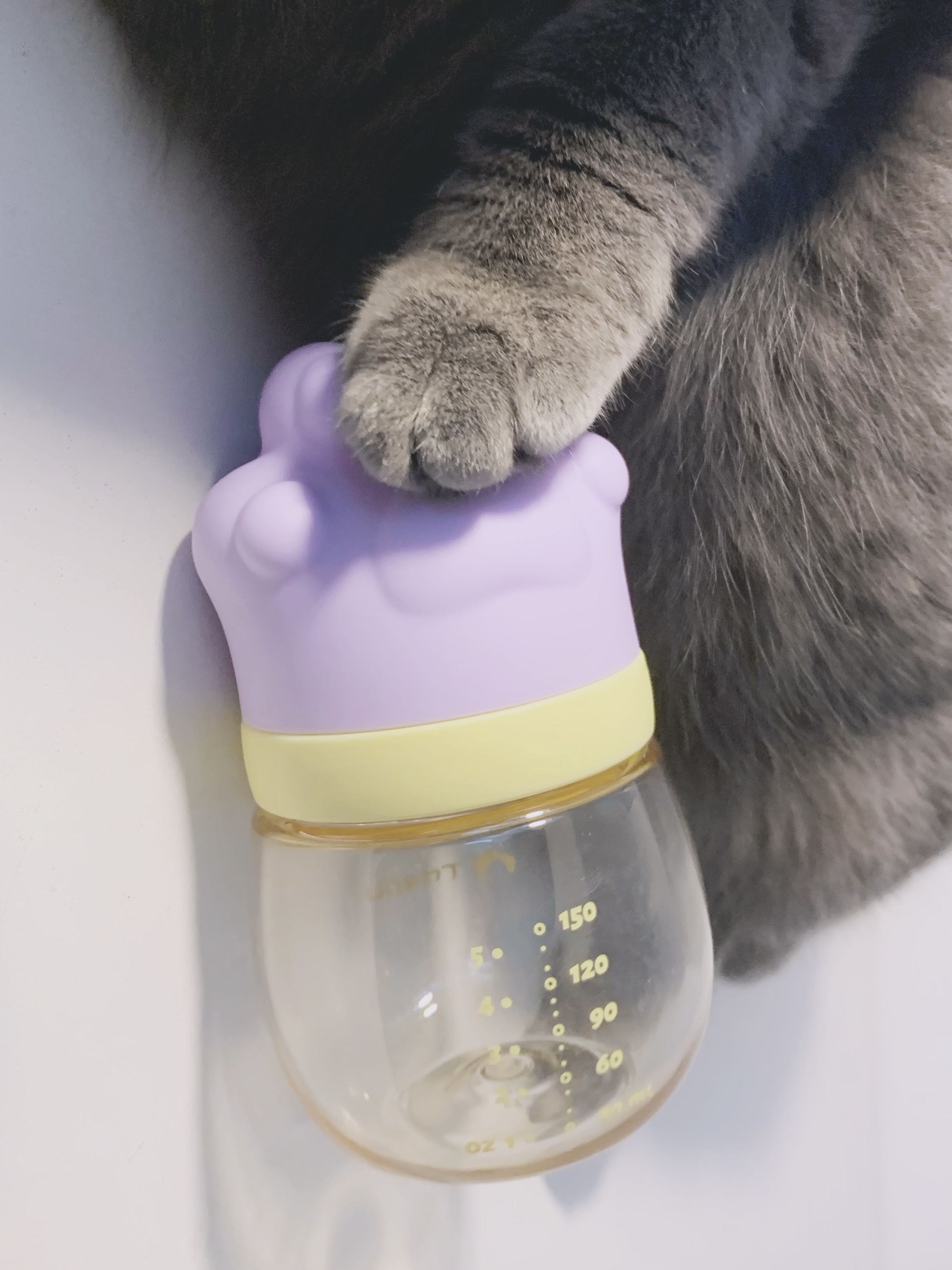 feeding bottle，Cat claw，
