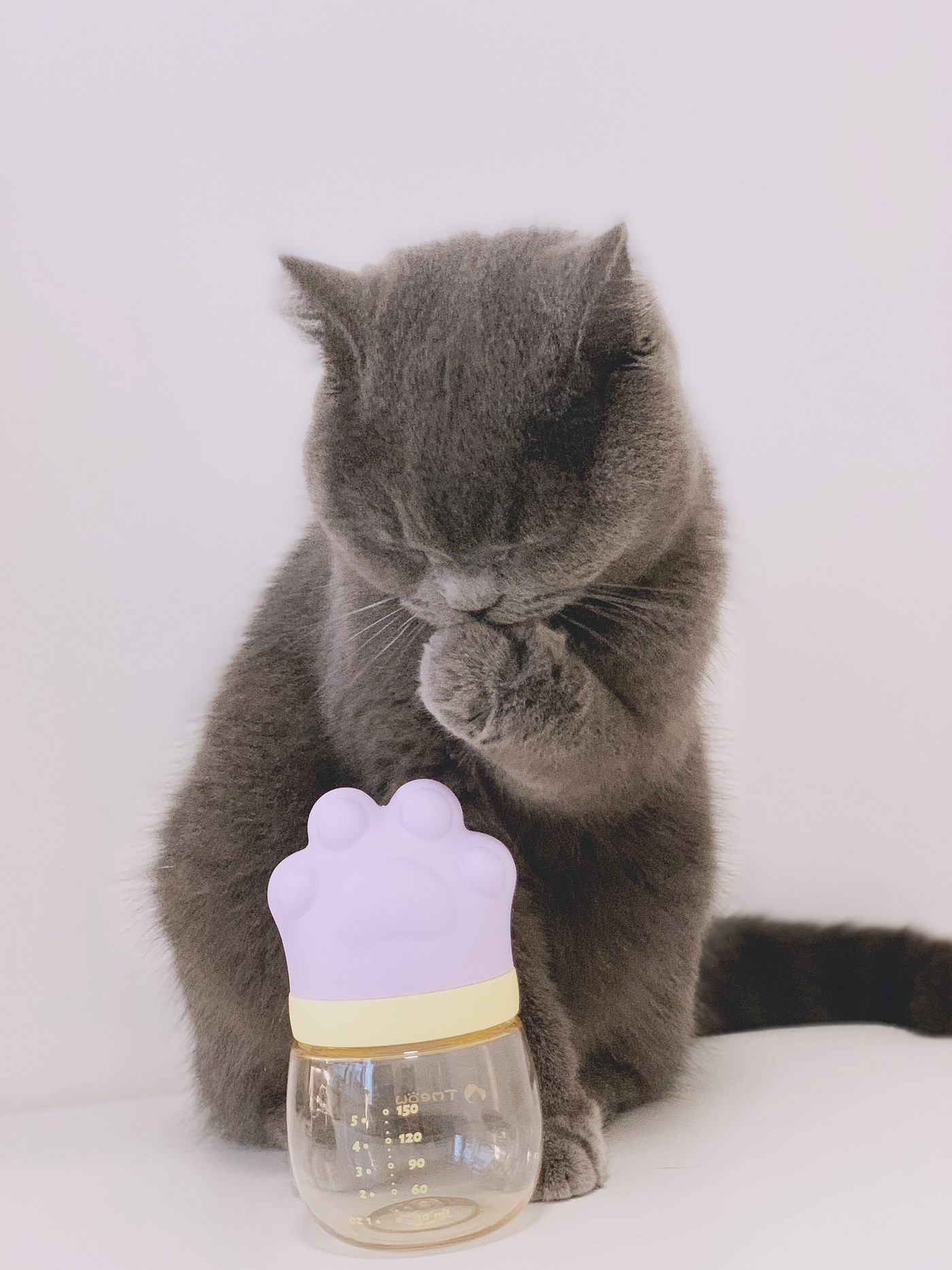 奶瓶，猫爪，
