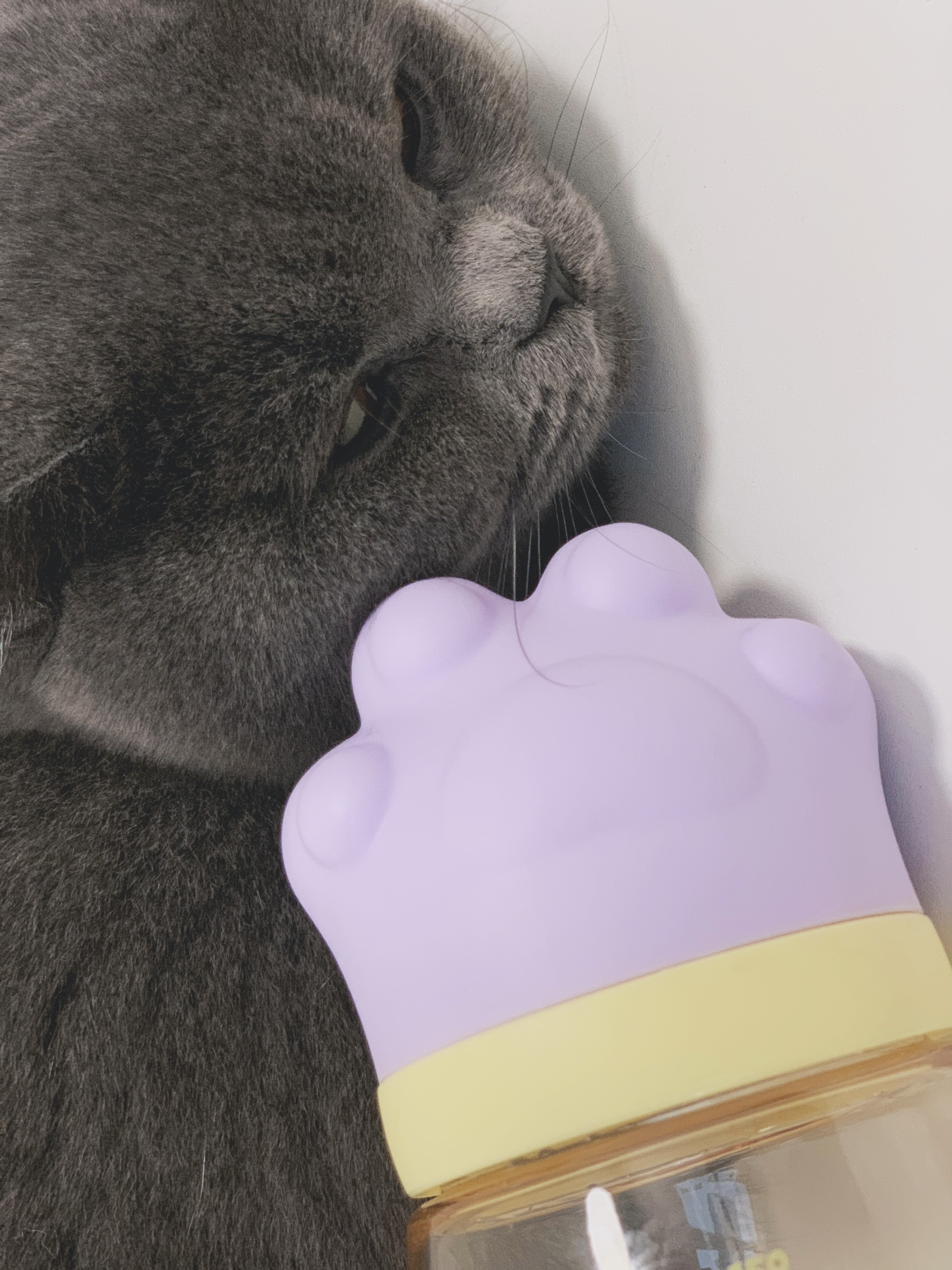 feeding bottle，Cat claw，