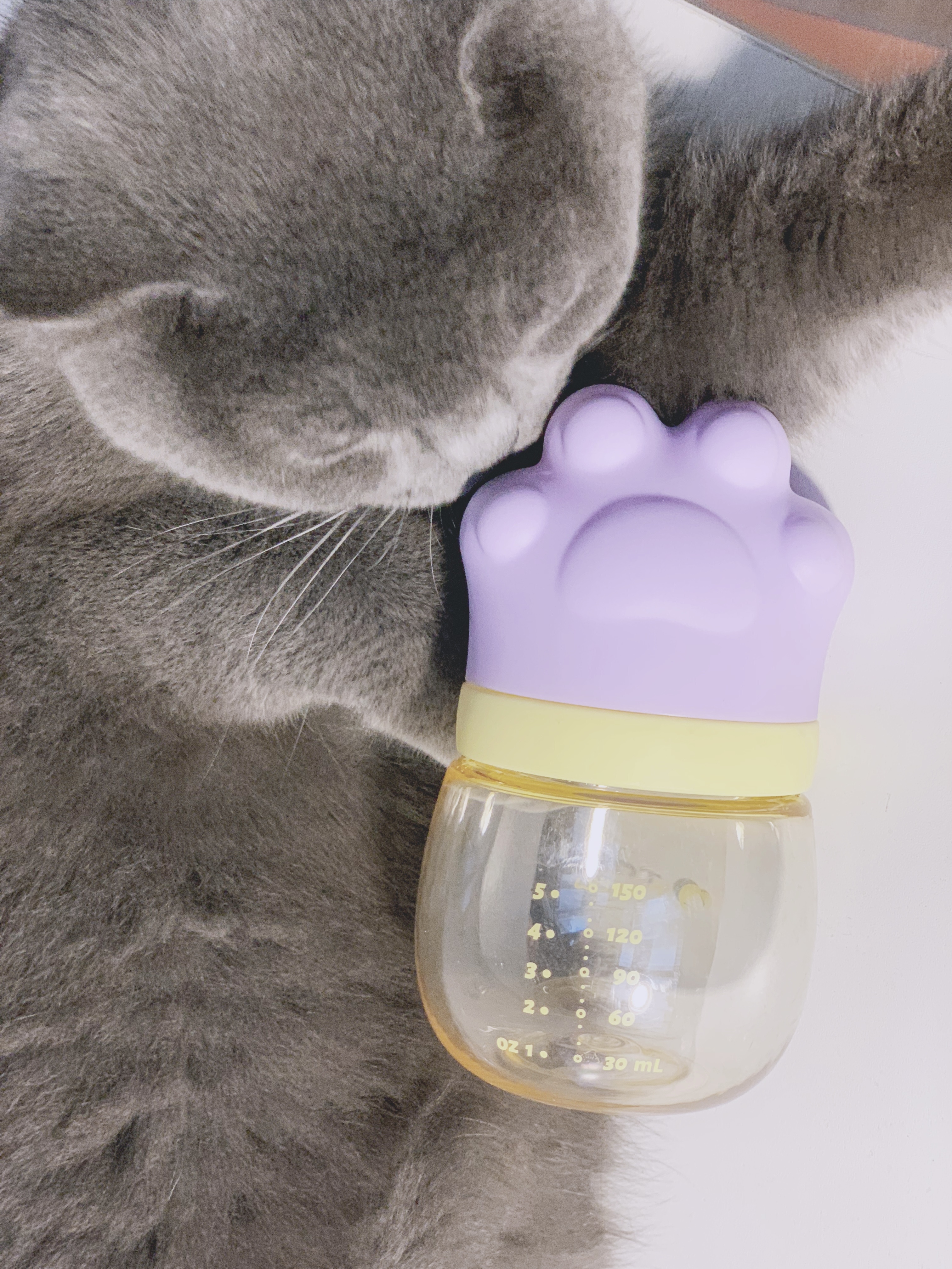 feeding bottle，Cat claw，
