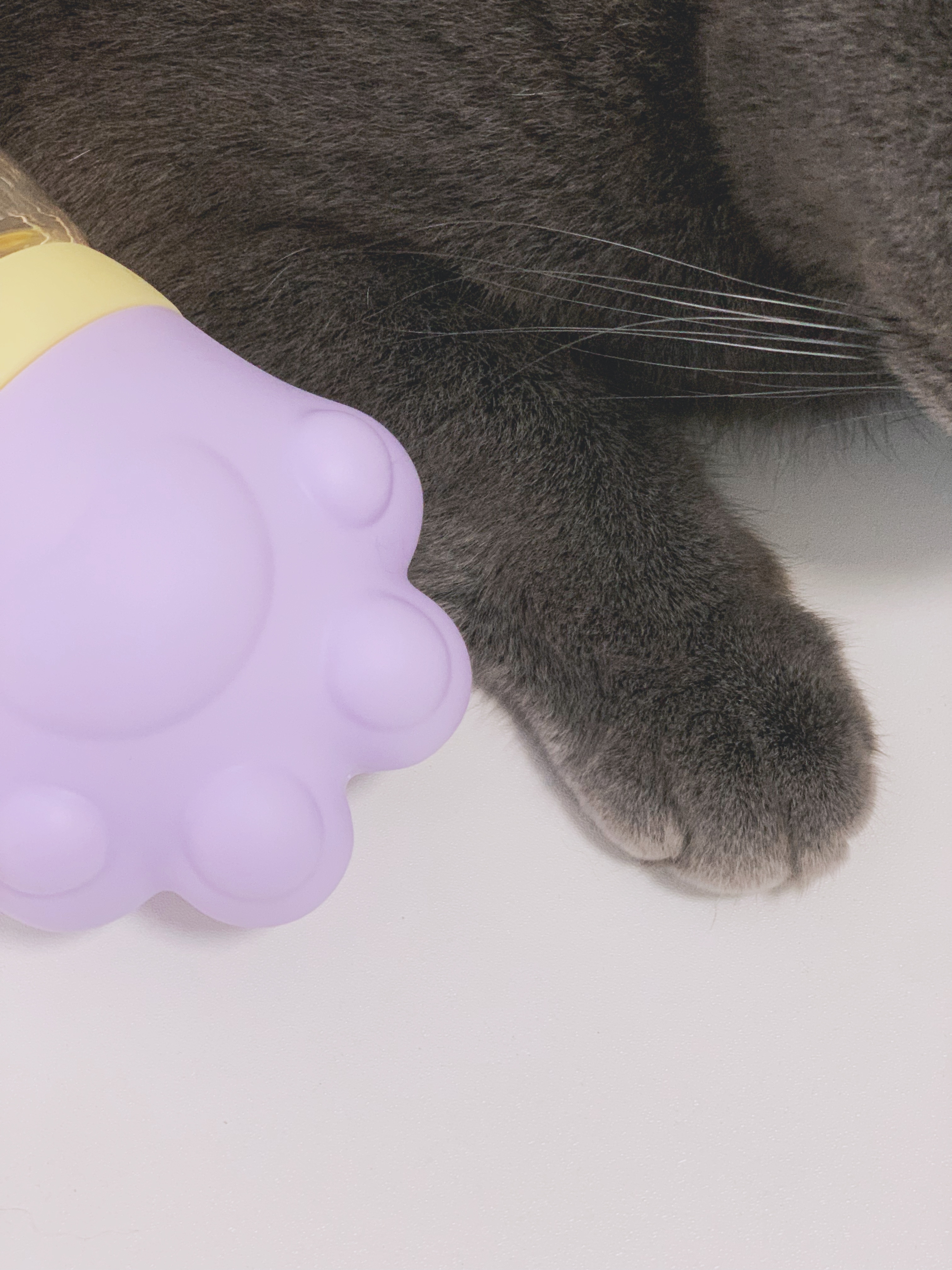 feeding bottle，Cat claw，