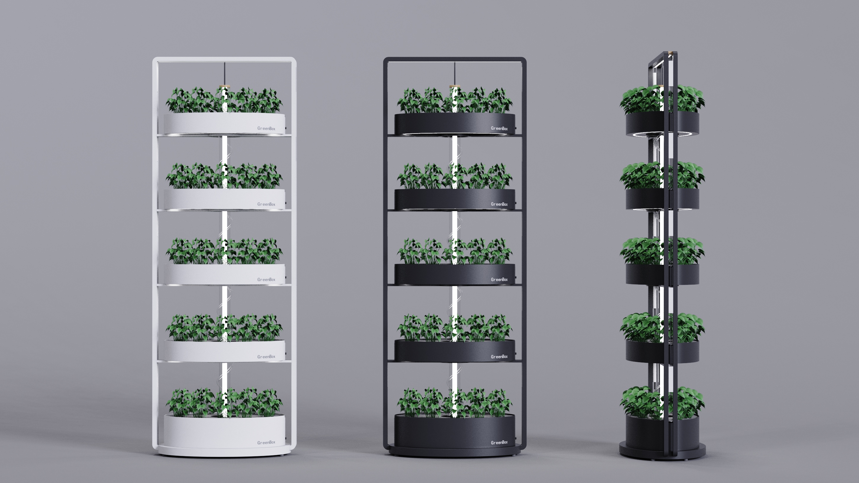 Vegetable planting rack，