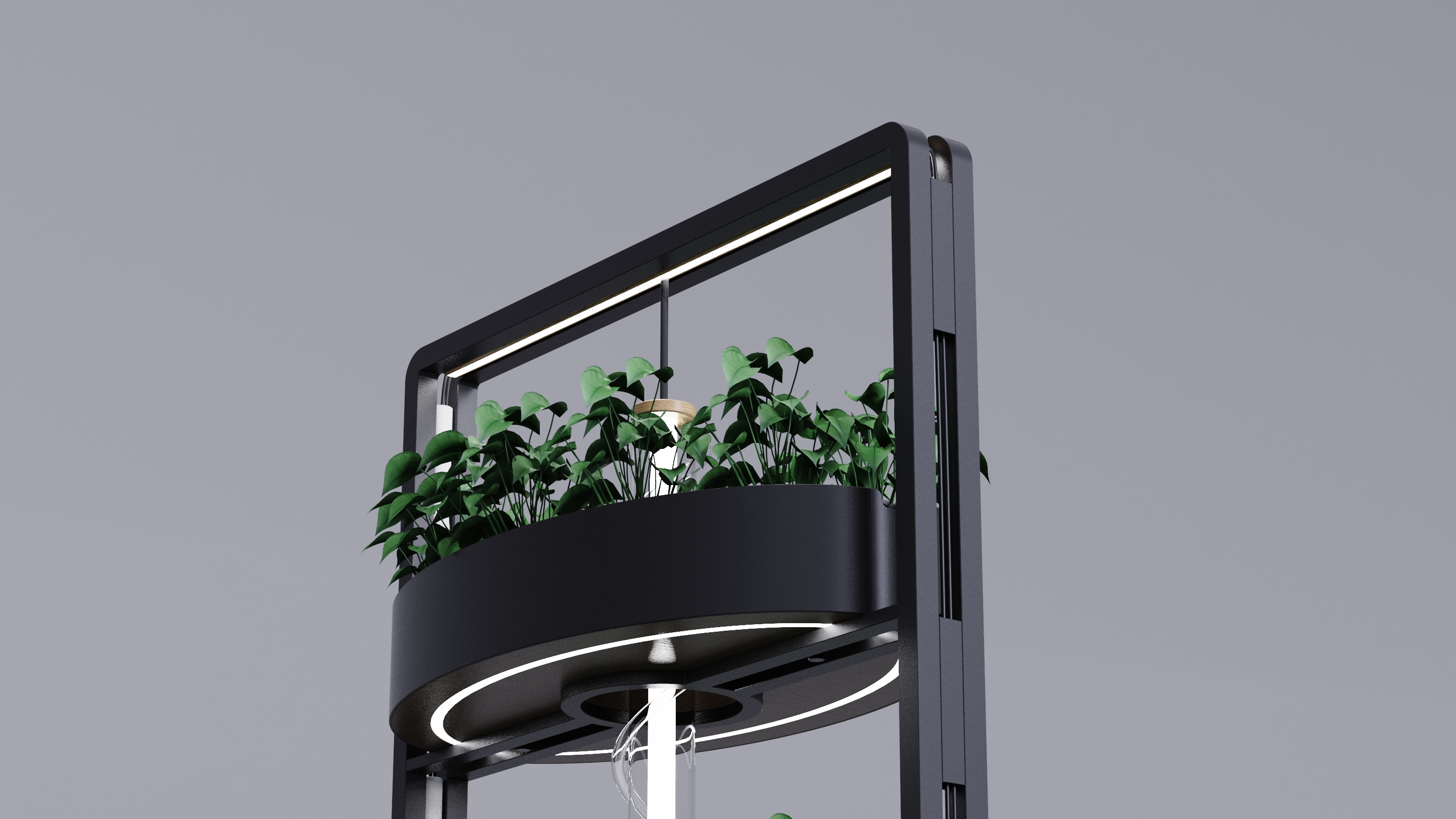 Vegetable planting rack，