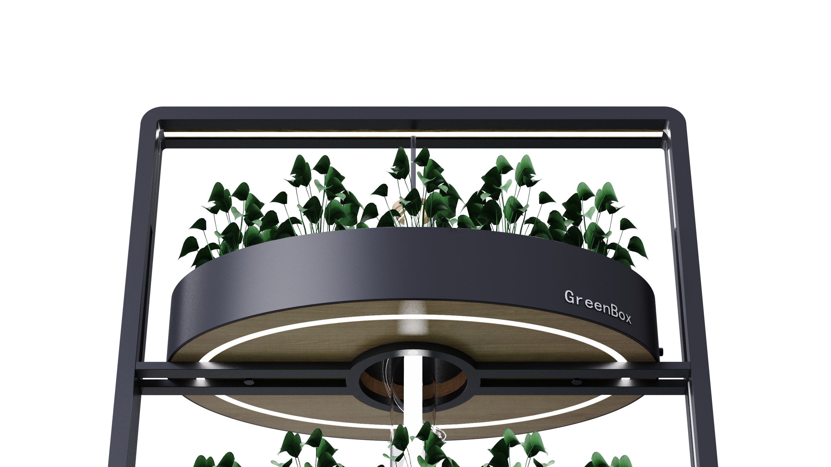 Vegetable planting rack，