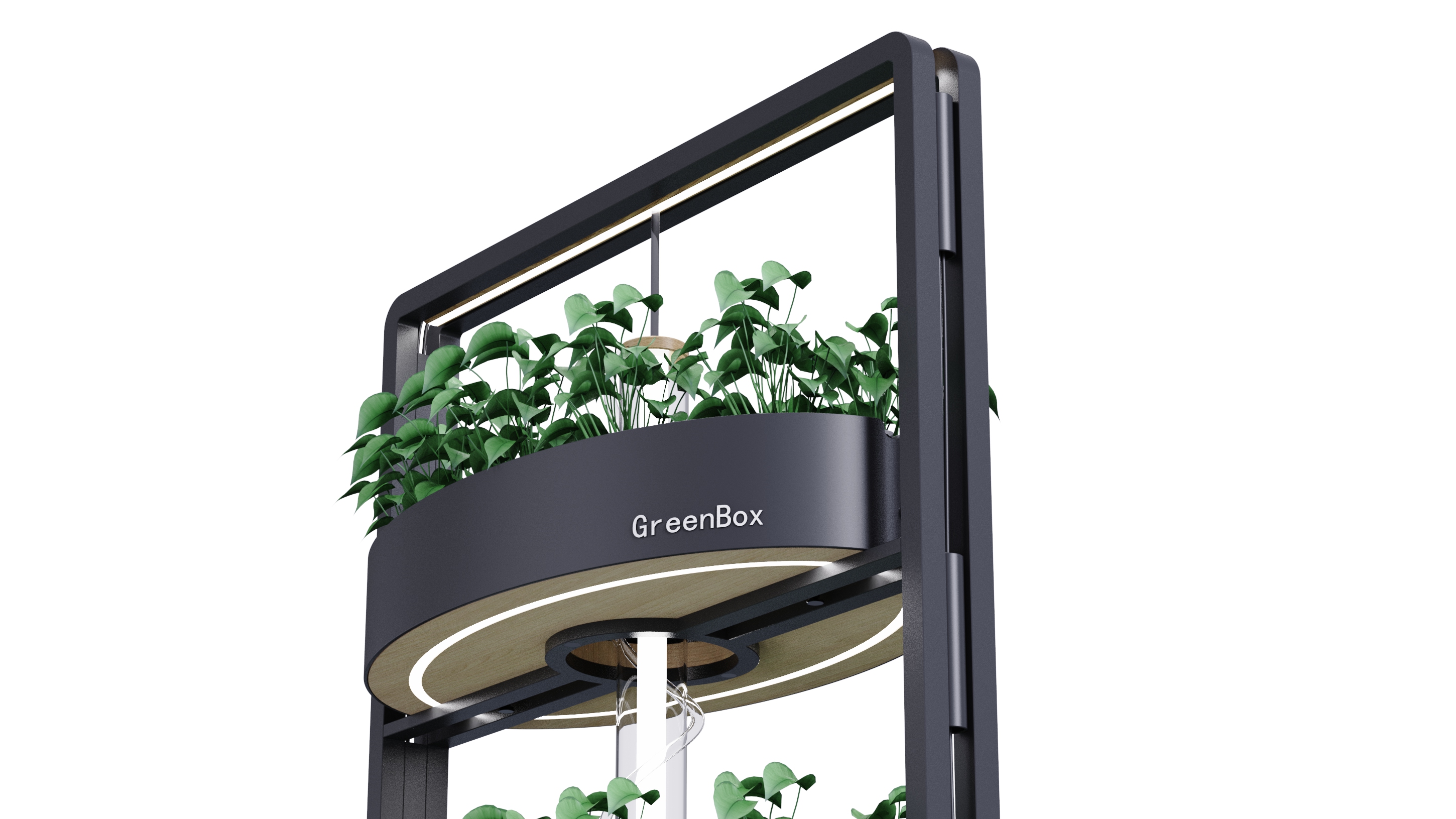 Vegetable planting rack，