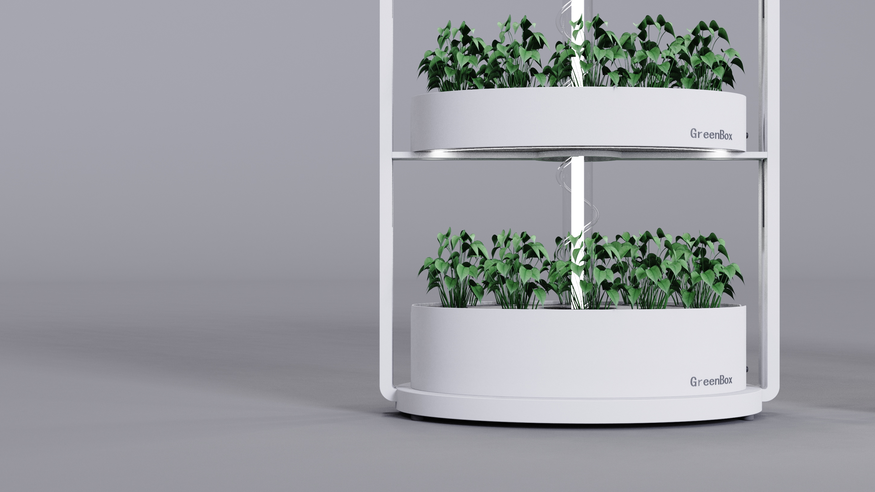 Vegetable planting rack，