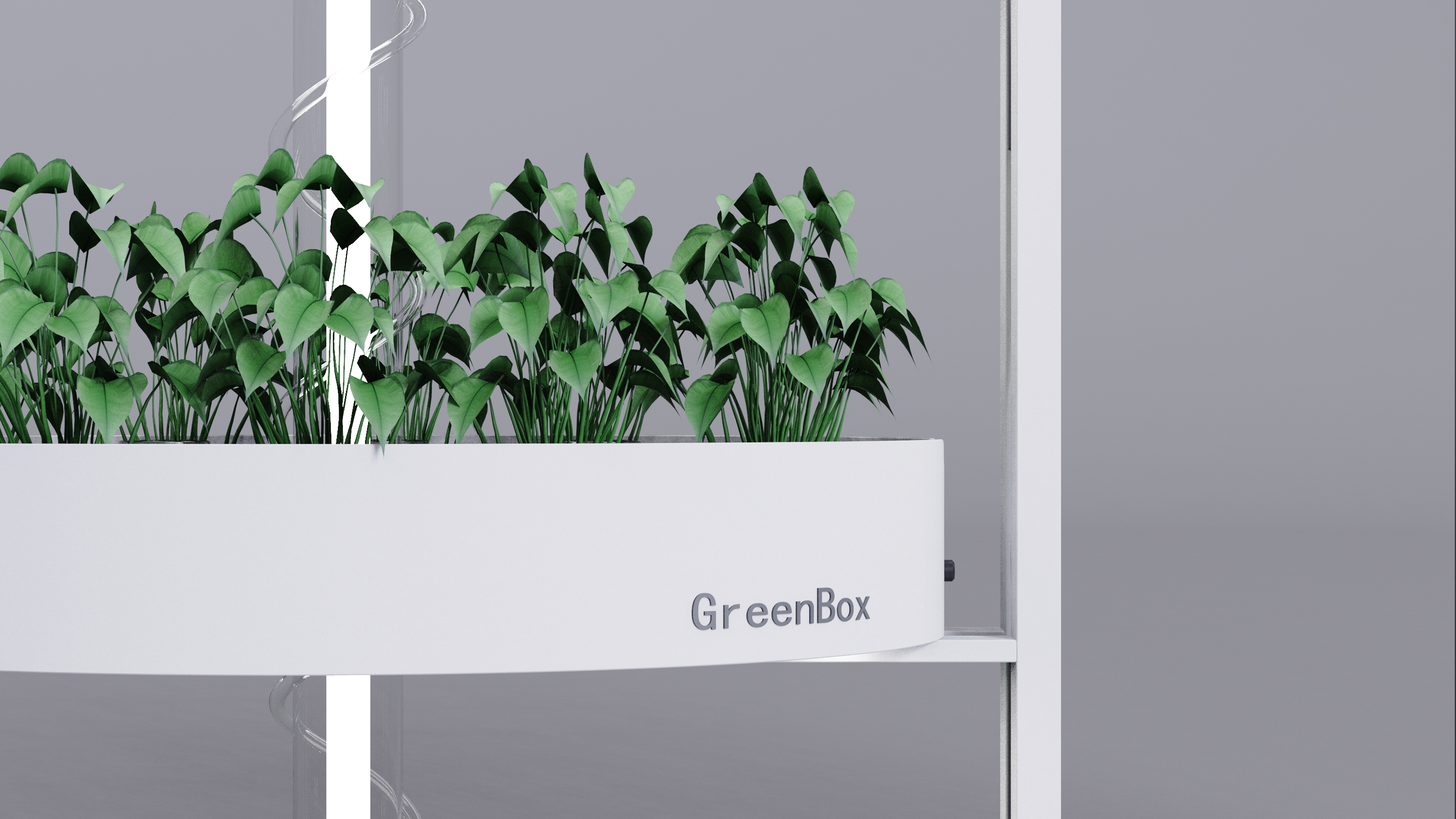 Vegetable planting rack，