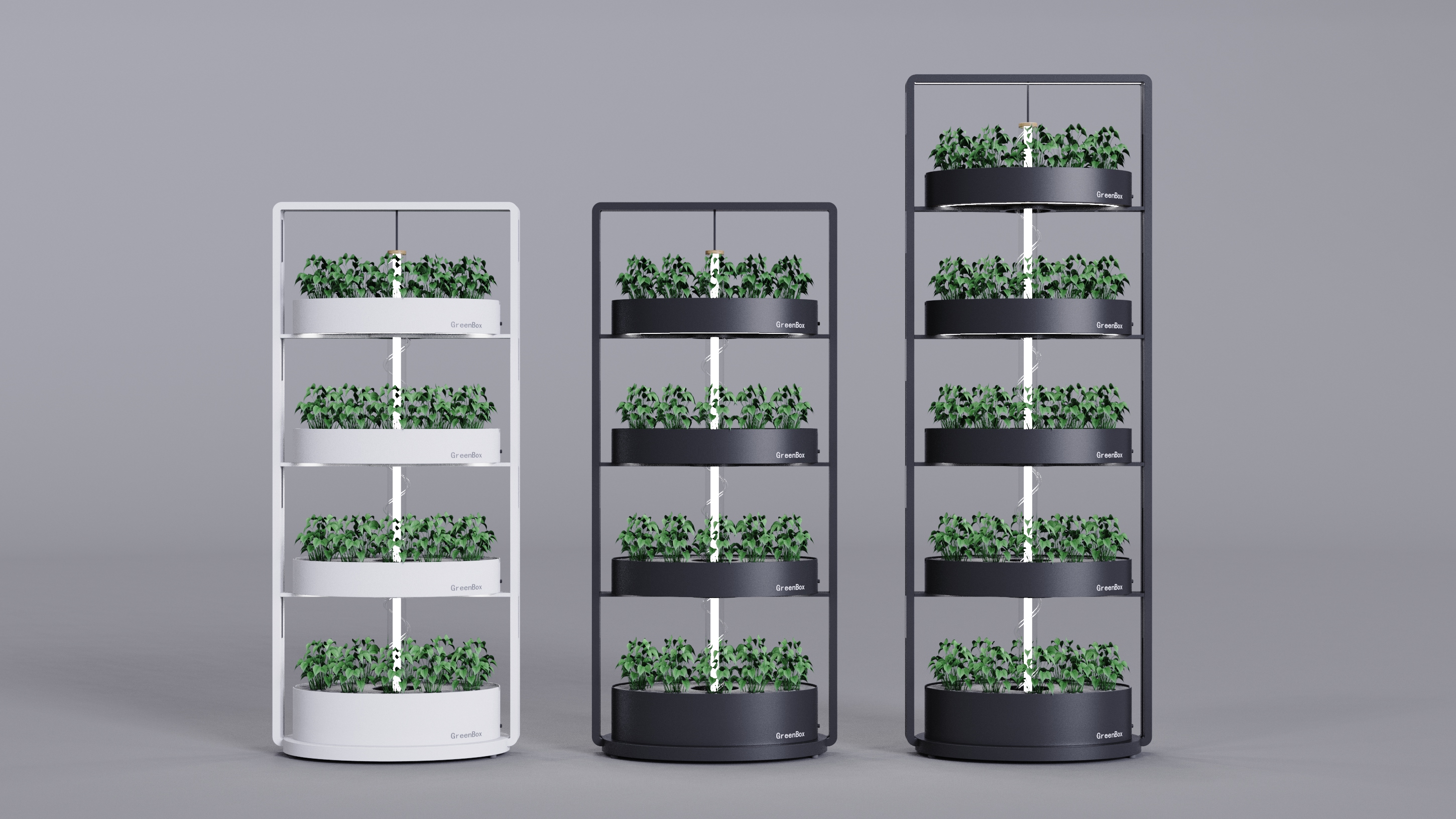 Vegetable planting rack，