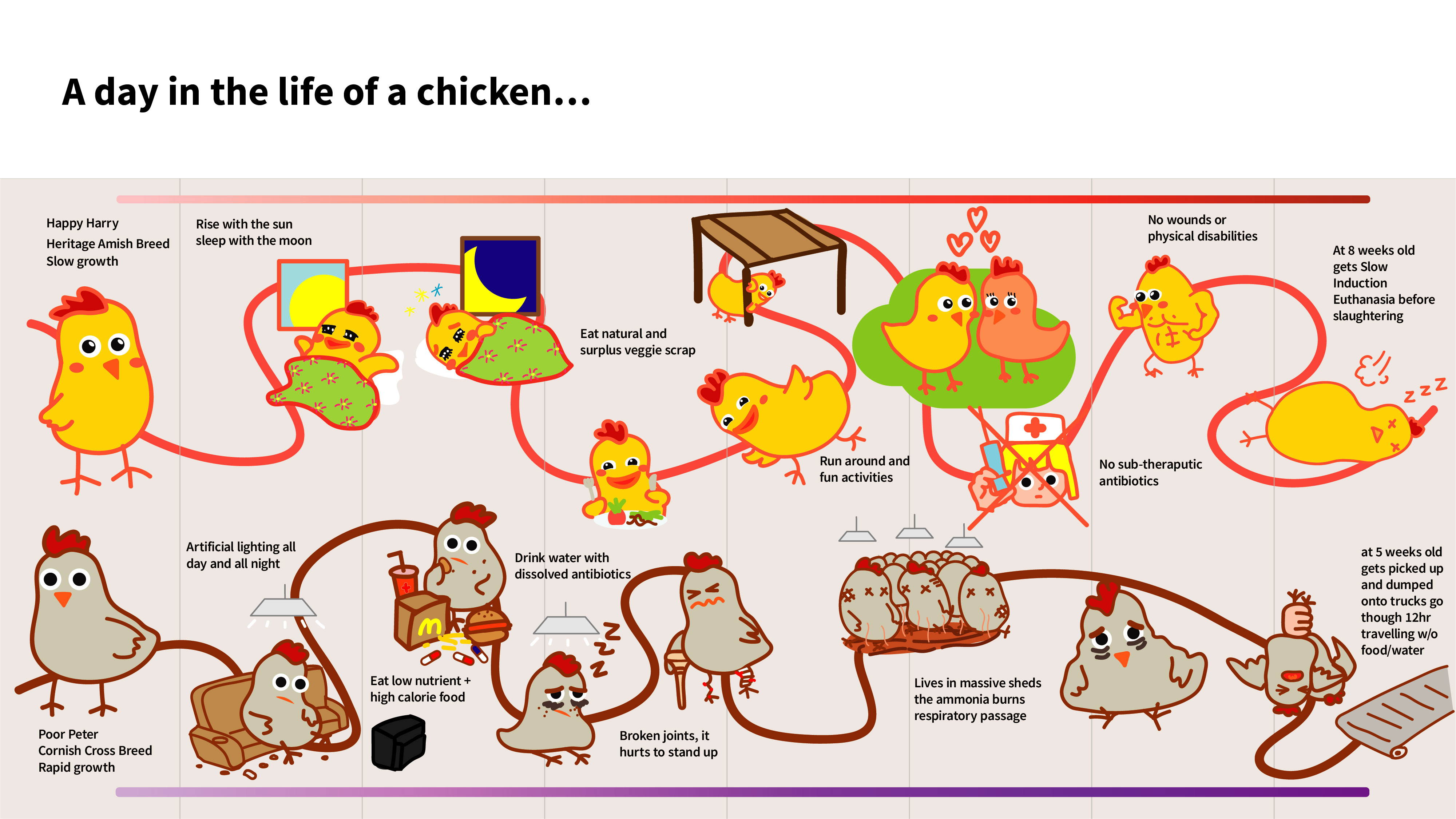 food，packing，brand，life style，environment protection，healthy，