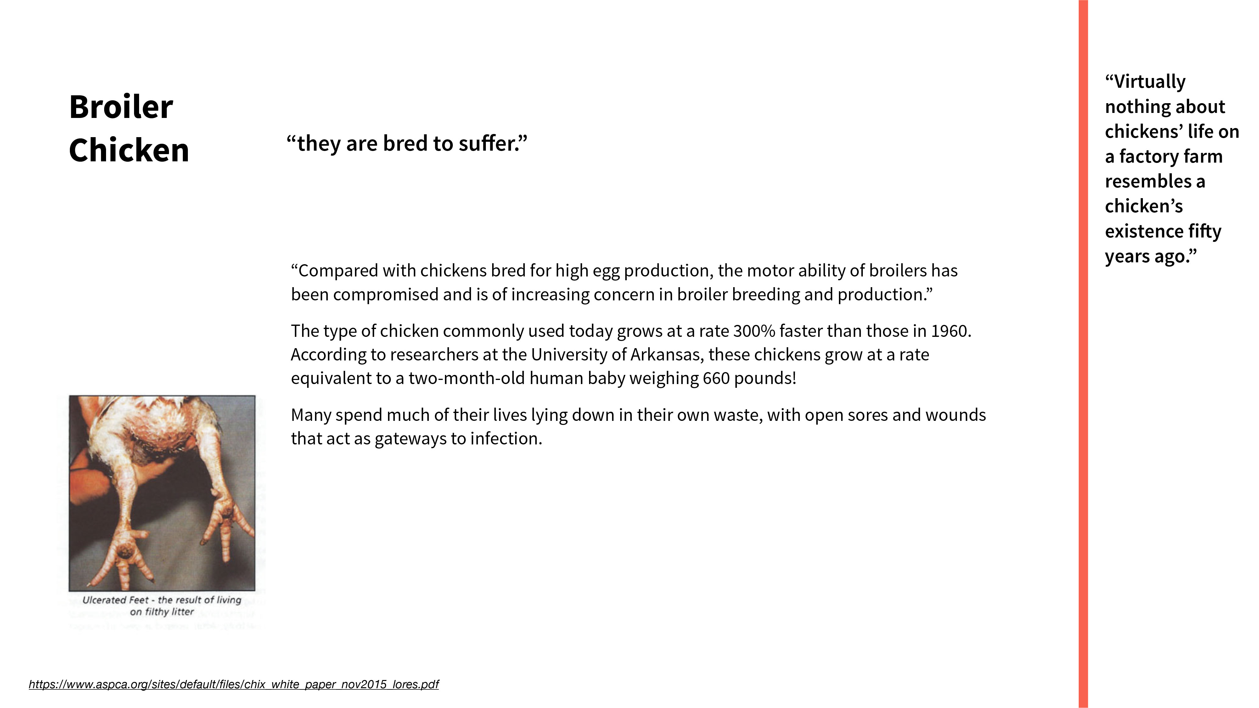 food，packing，brand，life style，environment protection，healthy，