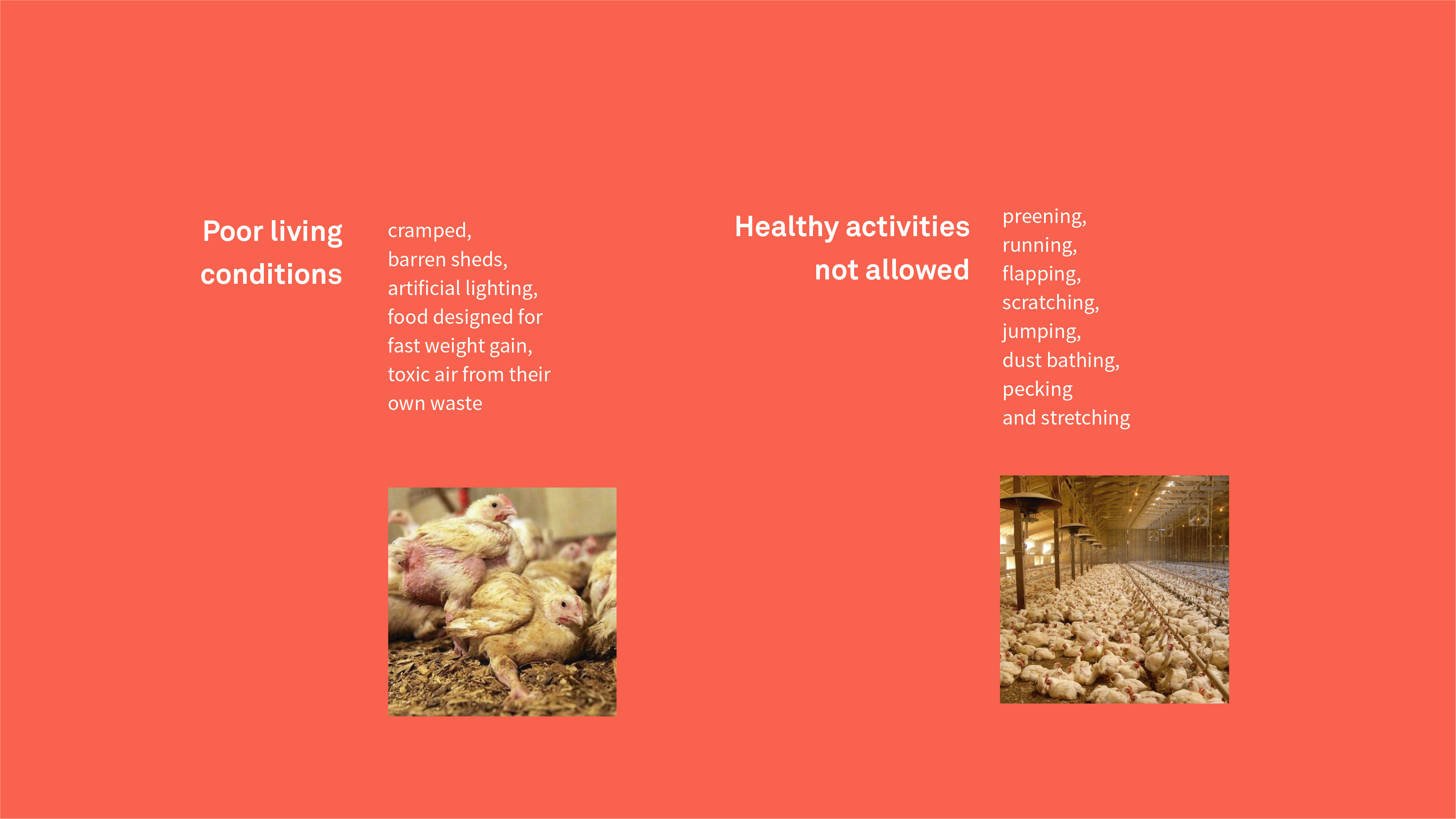 food，packing，brand，life style，environment protection，healthy，