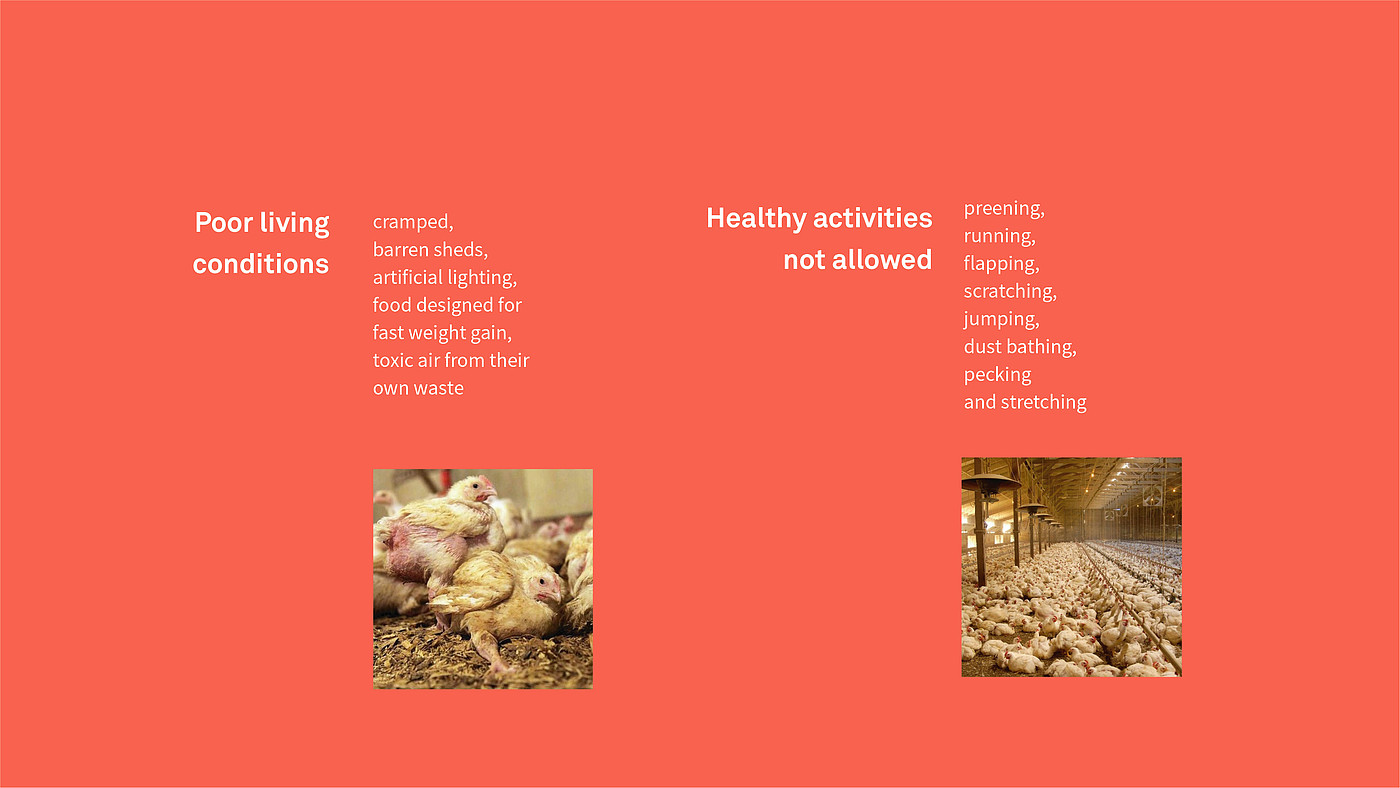 food，packing，brand，life style，environment protection，healthy，