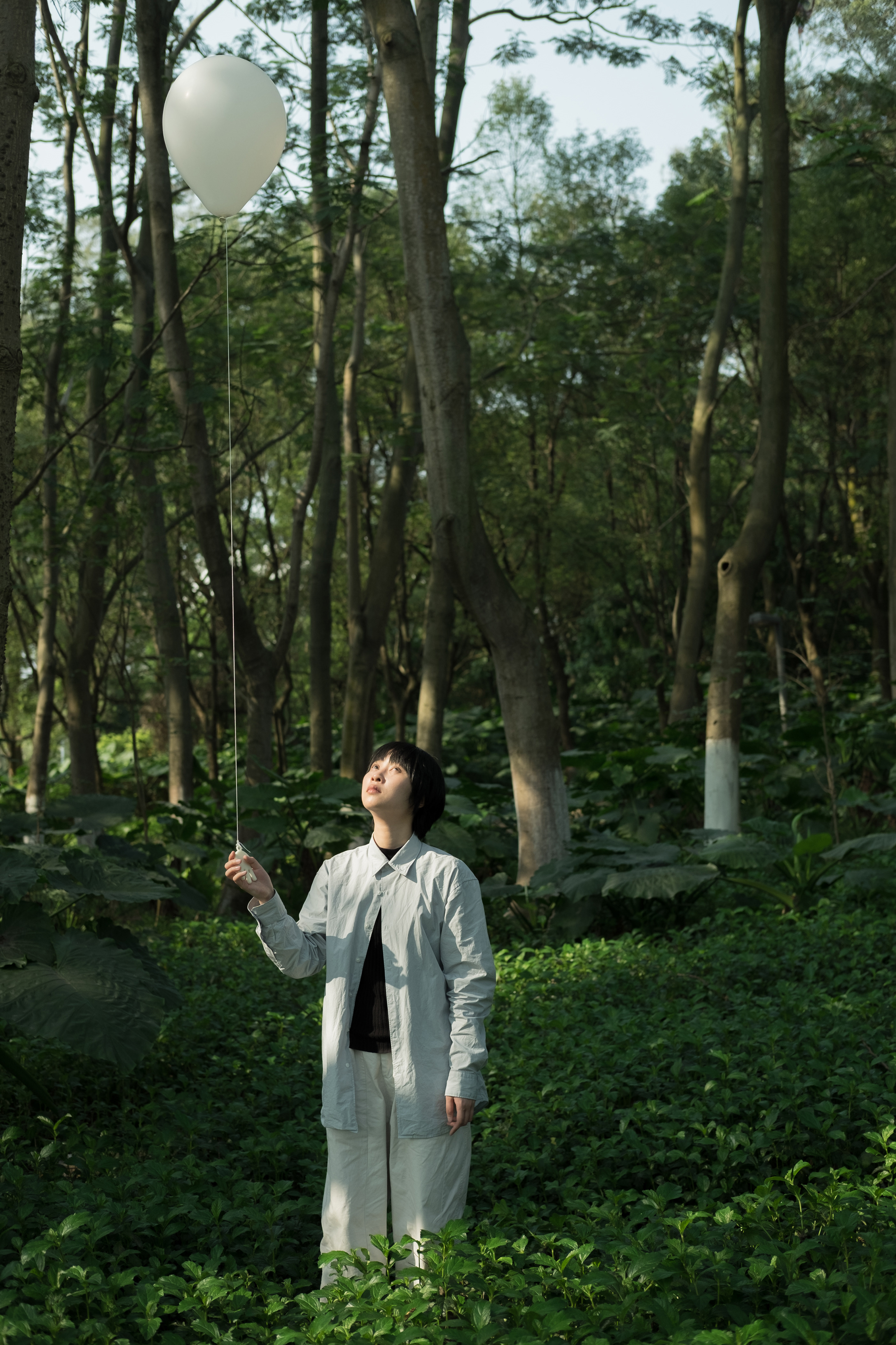 balloon，Palm，Narrative design，