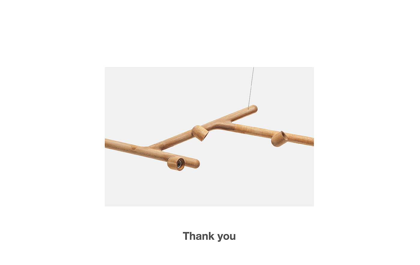 branch，lamp，bionics，