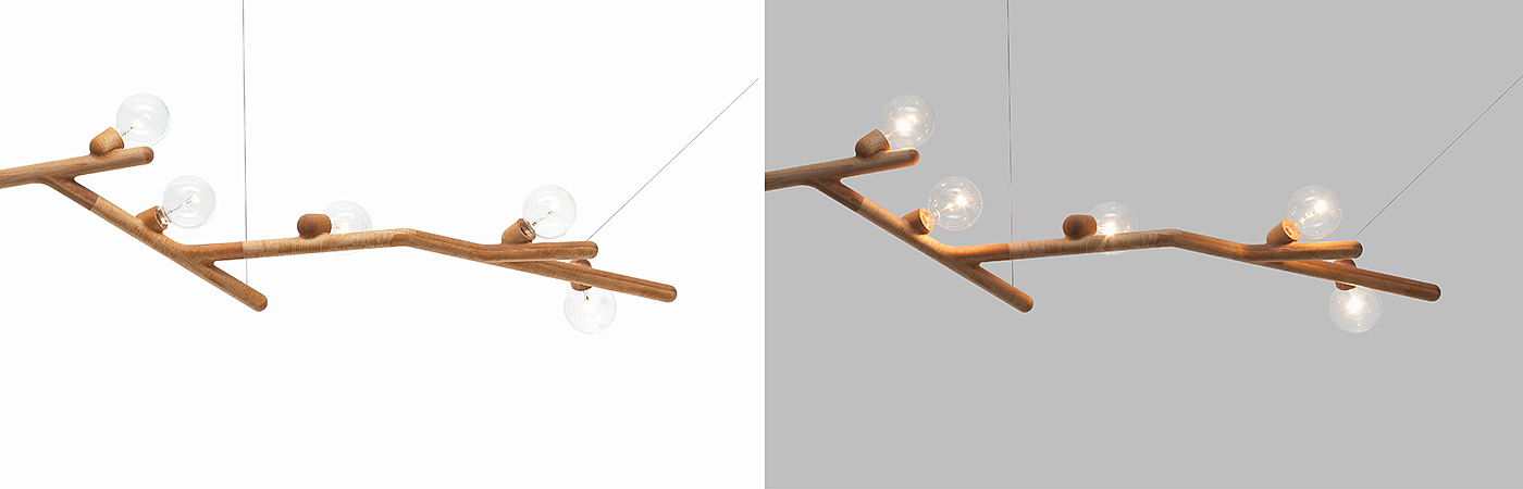 branch，lamp，bionics，