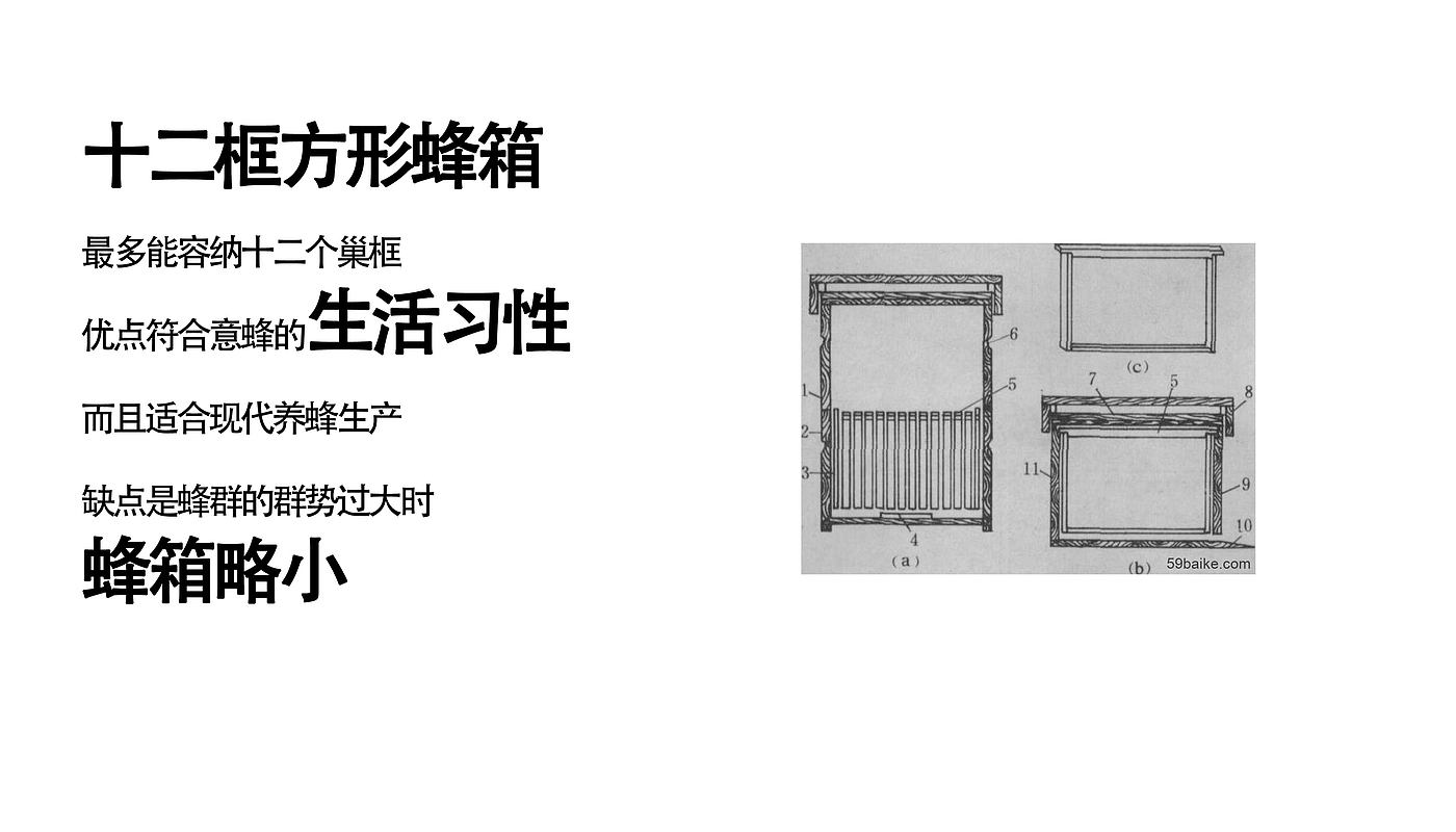 智能产品，蜜蜂，蜂箱，