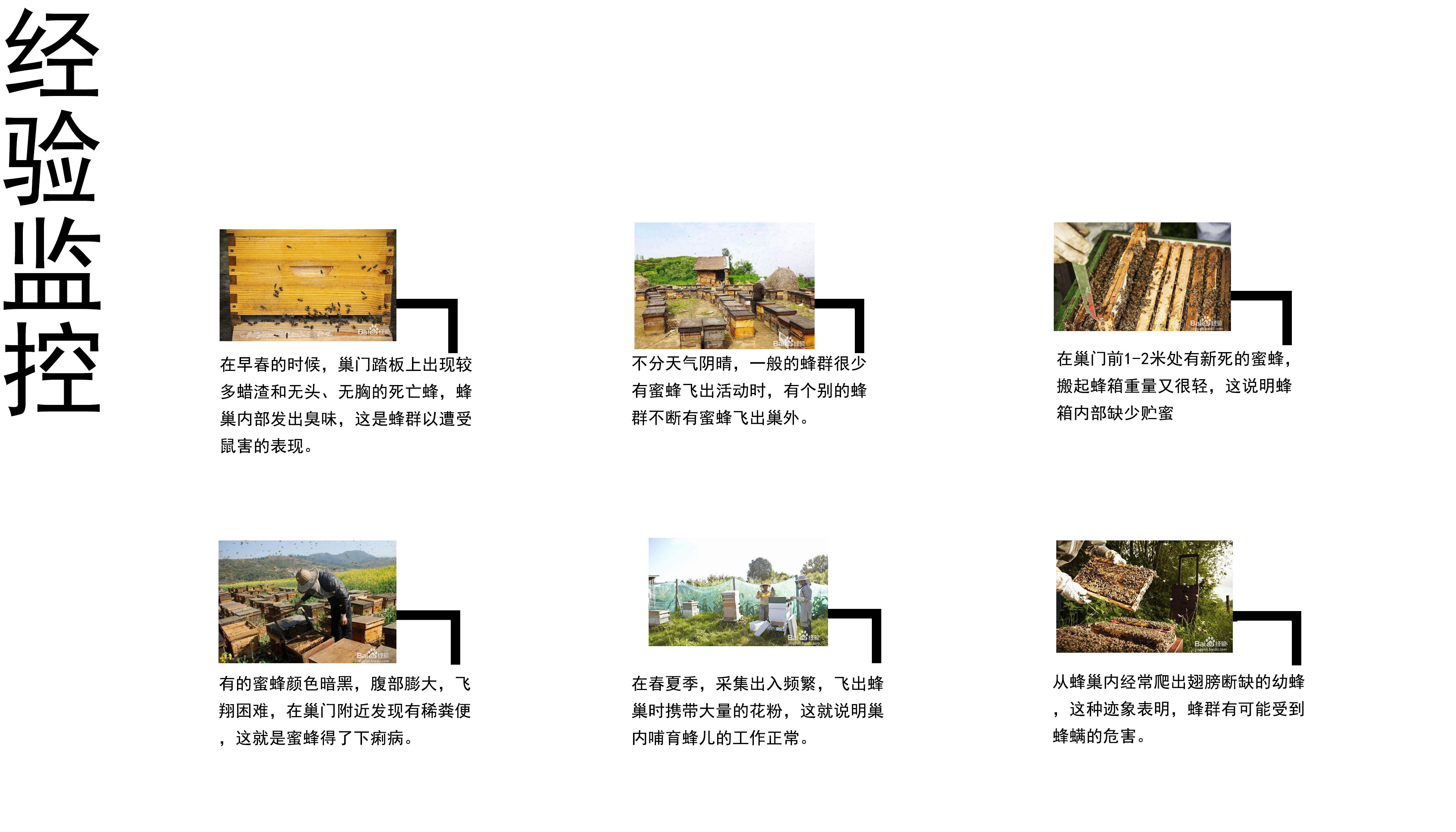 Intelligent products，honeybee，hive，