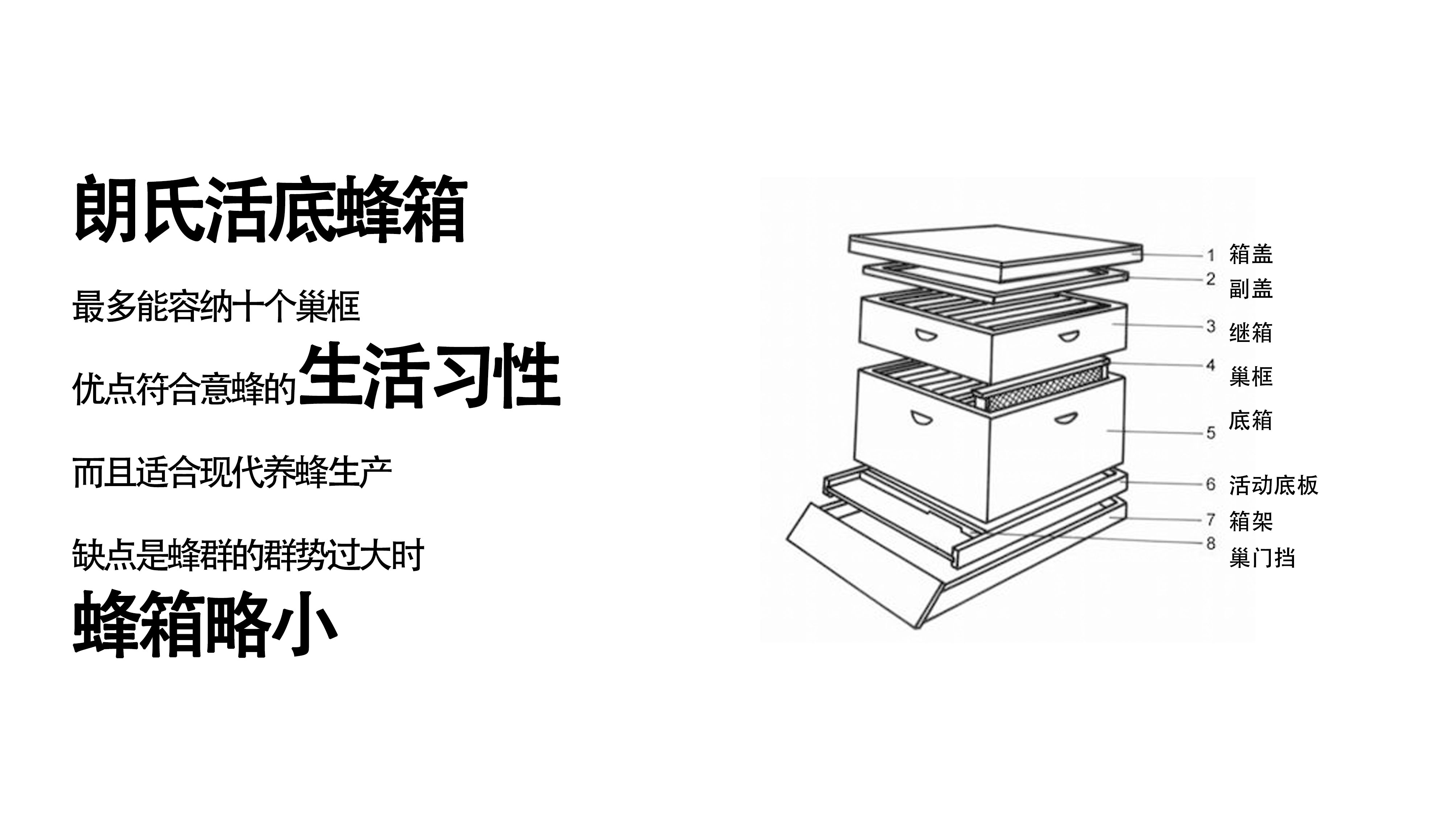 Intelligent products，honeybee，hive，