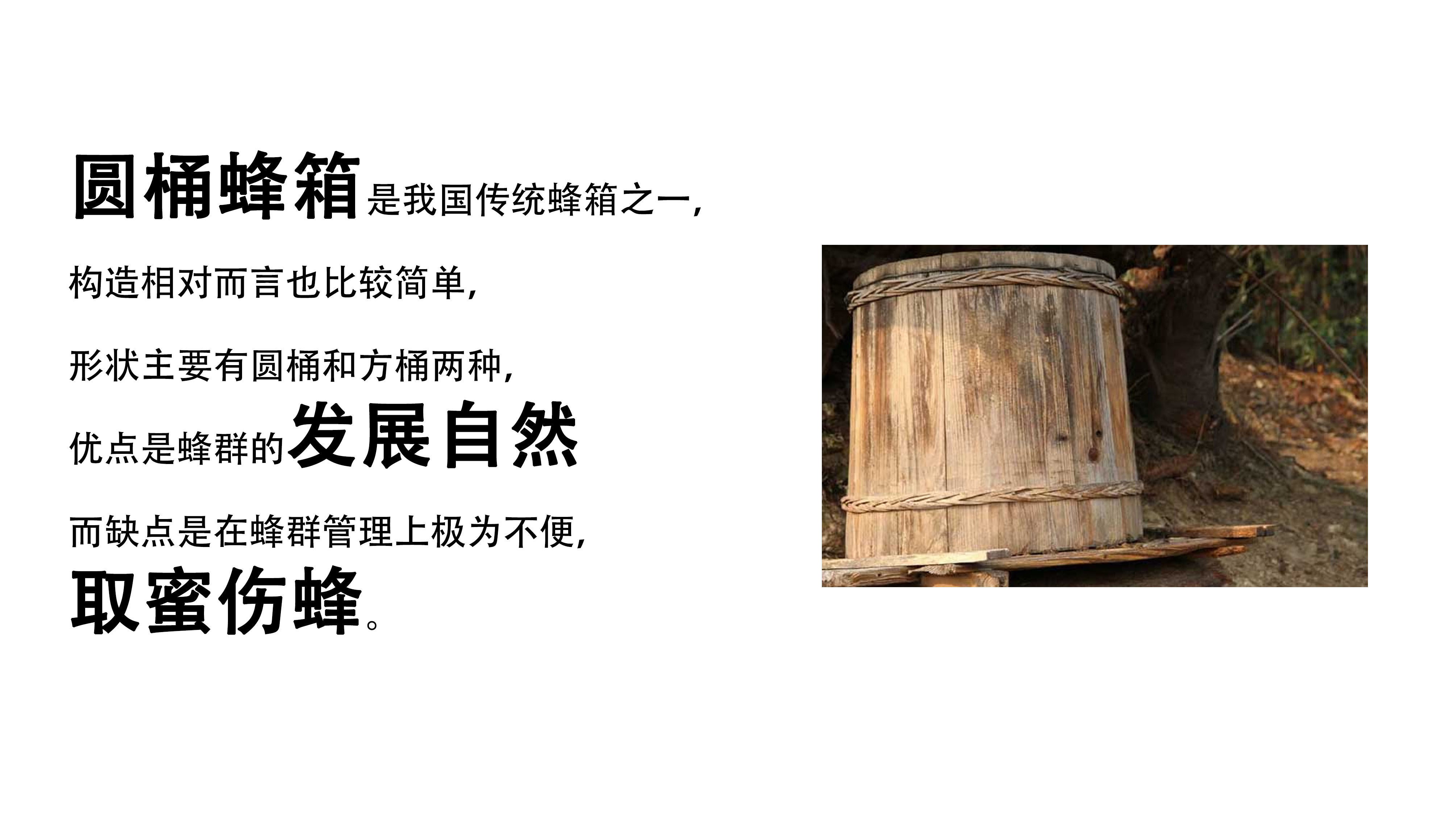 Intelligent products，honeybee，hive，