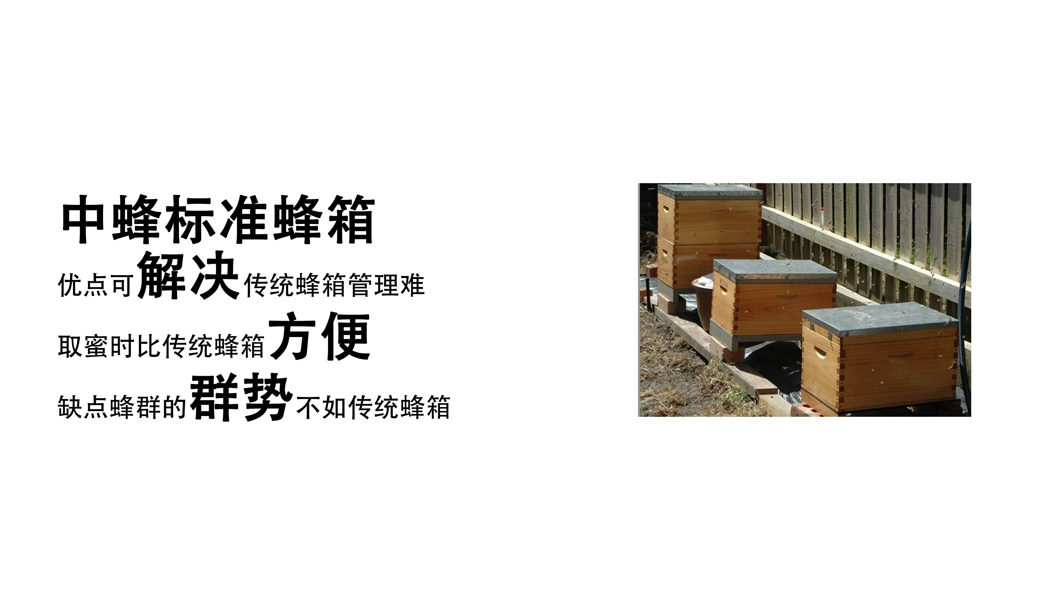 Intelligent products，honeybee，hive，