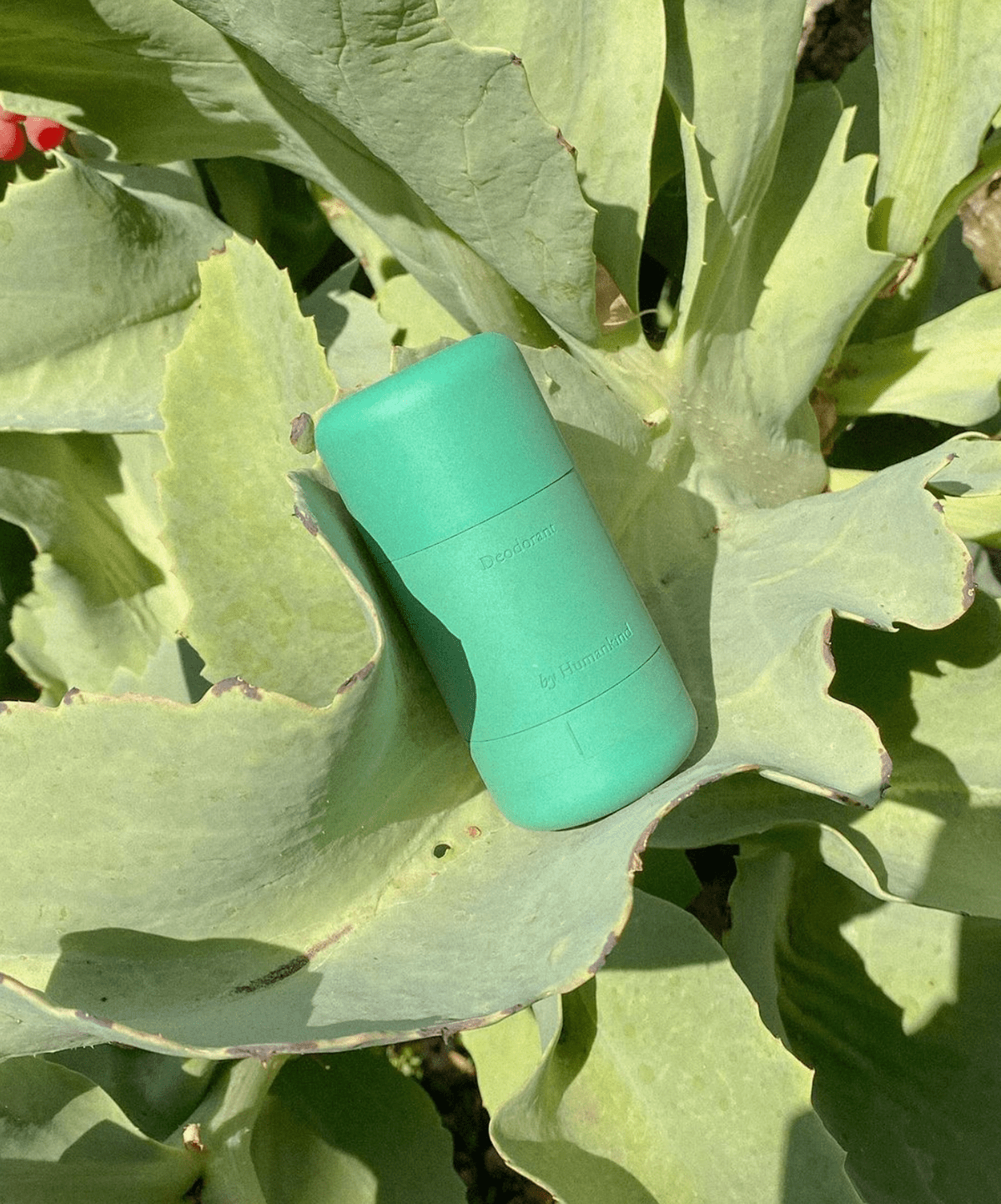 ByHumankind，Deodorant，Natural deodorant，