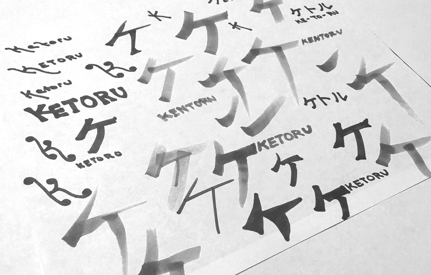 kettle，Electric，Home Furnishing，Home appliance kitchen，