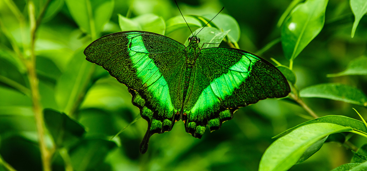 3D bike，industrial design，product design，Bicycle sketch，