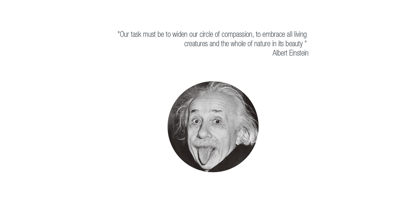 ESKB，Electric skateboard，Outdoor equipment，Electric skateboard，