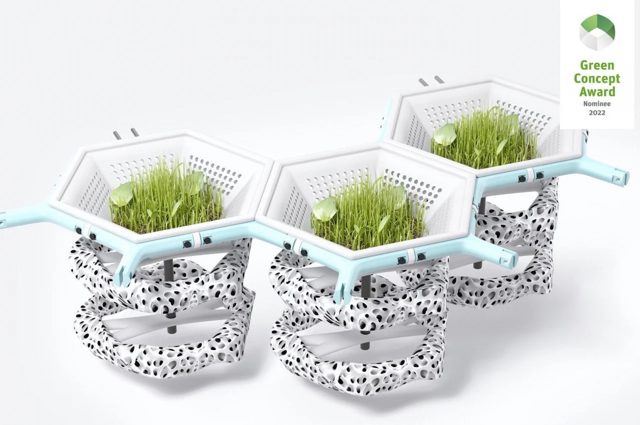 GREEN Concepts 2022，C ecology，Ecosystem architecture，