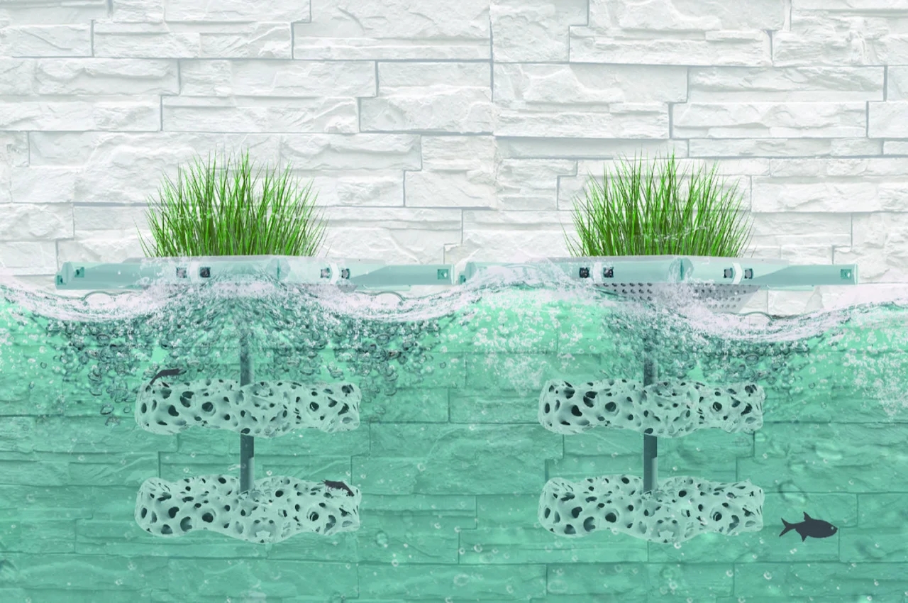 GREEN Concepts 2022，C ecology，Ecosystem architecture，