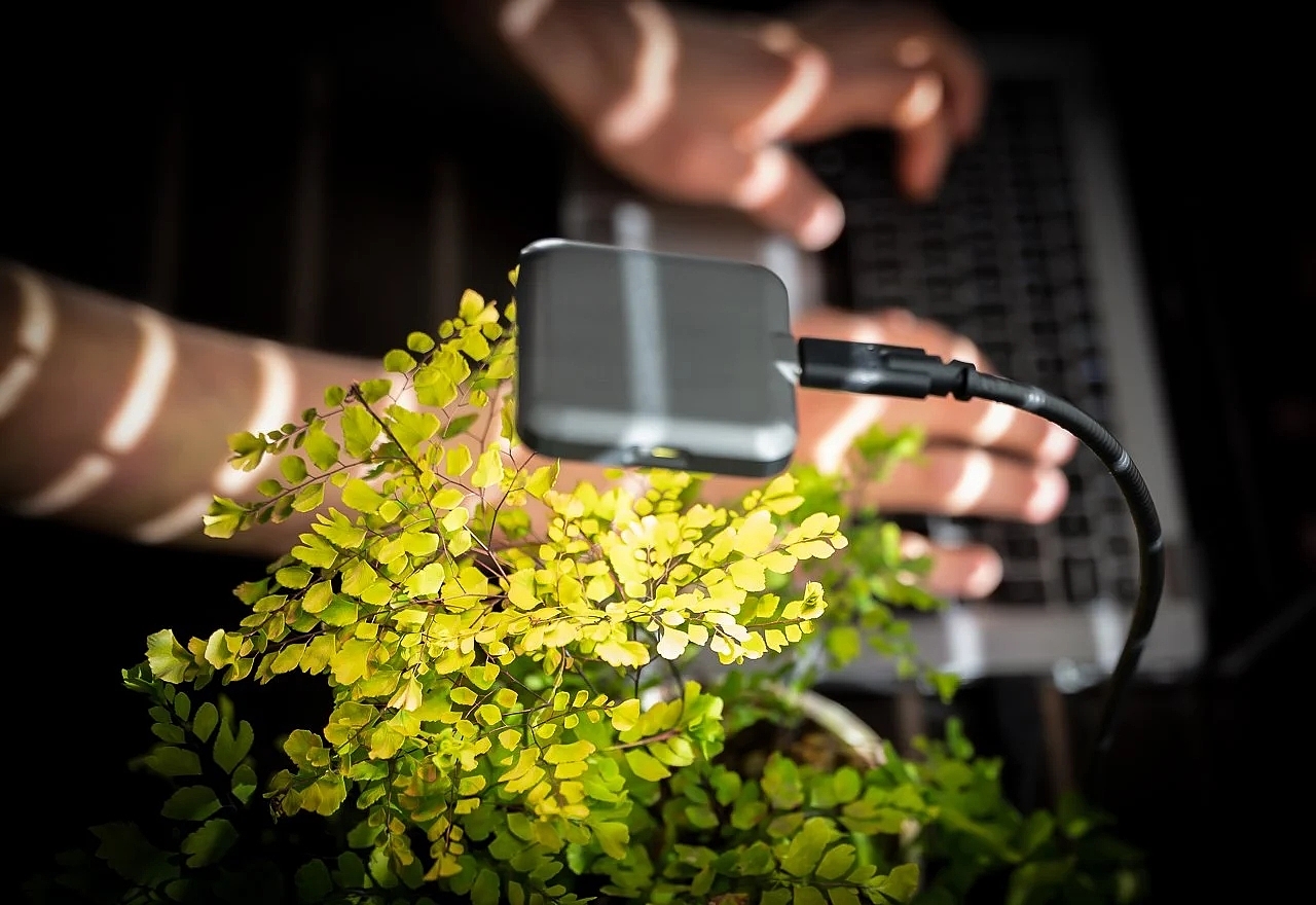植物，USB-C 灯，微型，Ocean Sun，