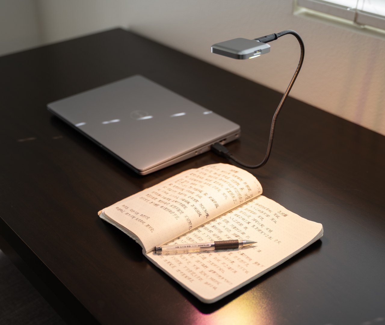 Botany，USB-C 灯，miniature，Ocean Sun，