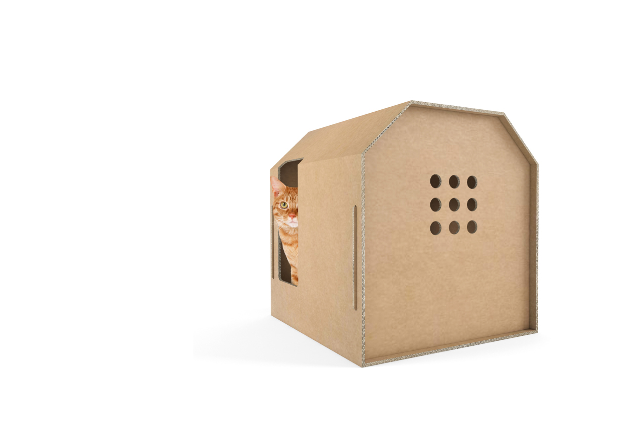 environment protection，product design，Cat nest，Design concept，