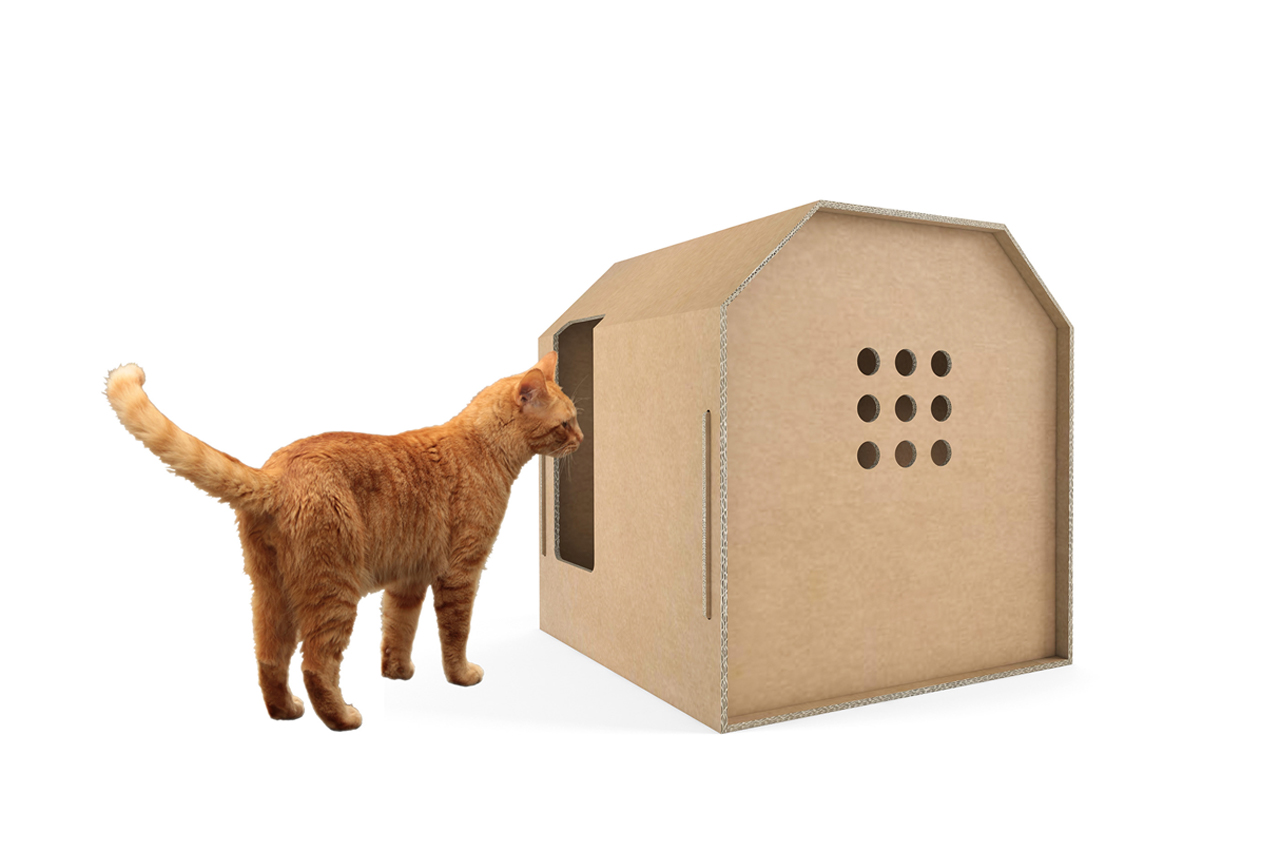 environment protection，product design，Cat nest，Design concept，