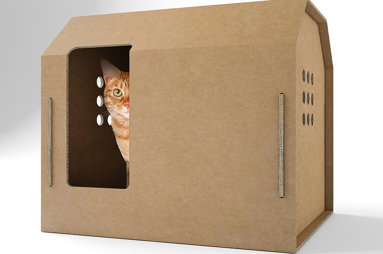 environment protection，product design，Cat nest，Design concept，