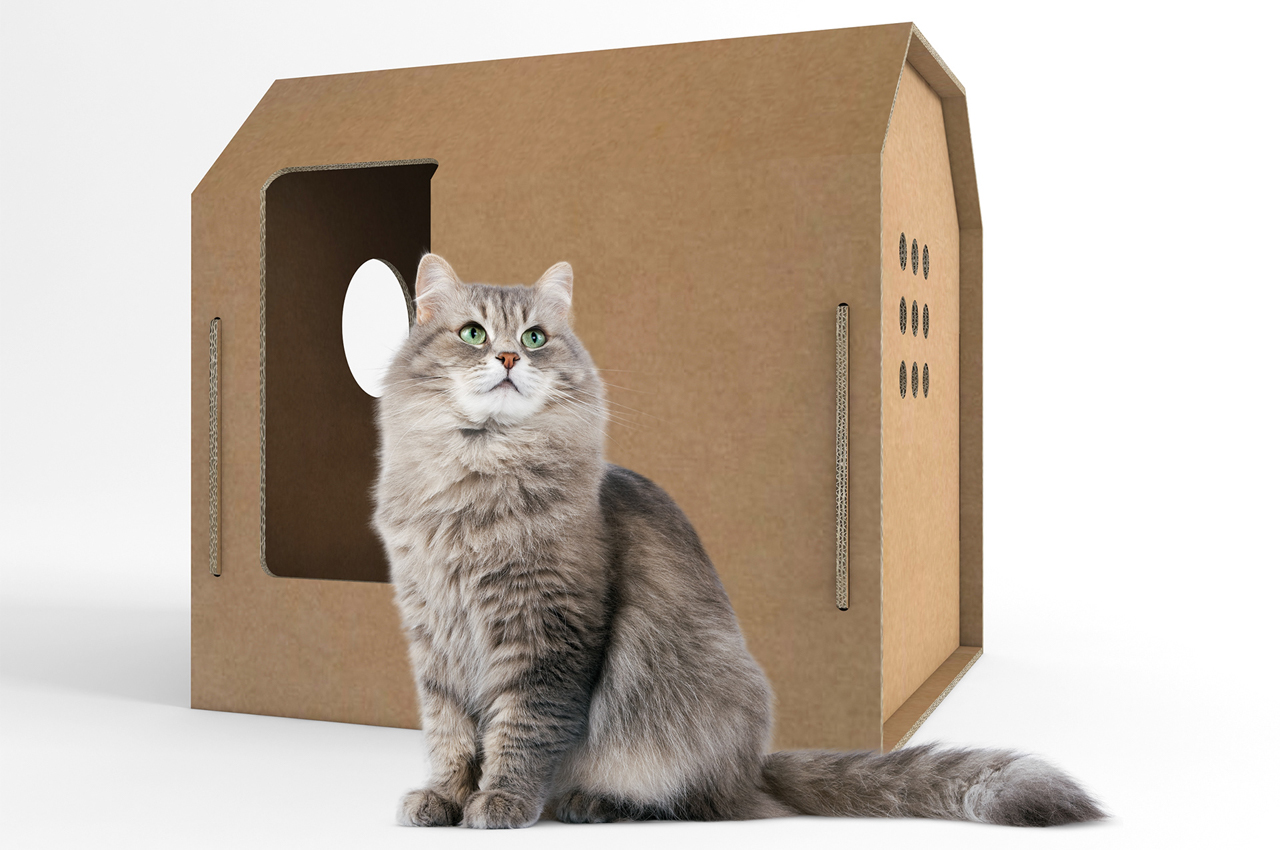 environment protection，product design，Cat nest，Design concept，