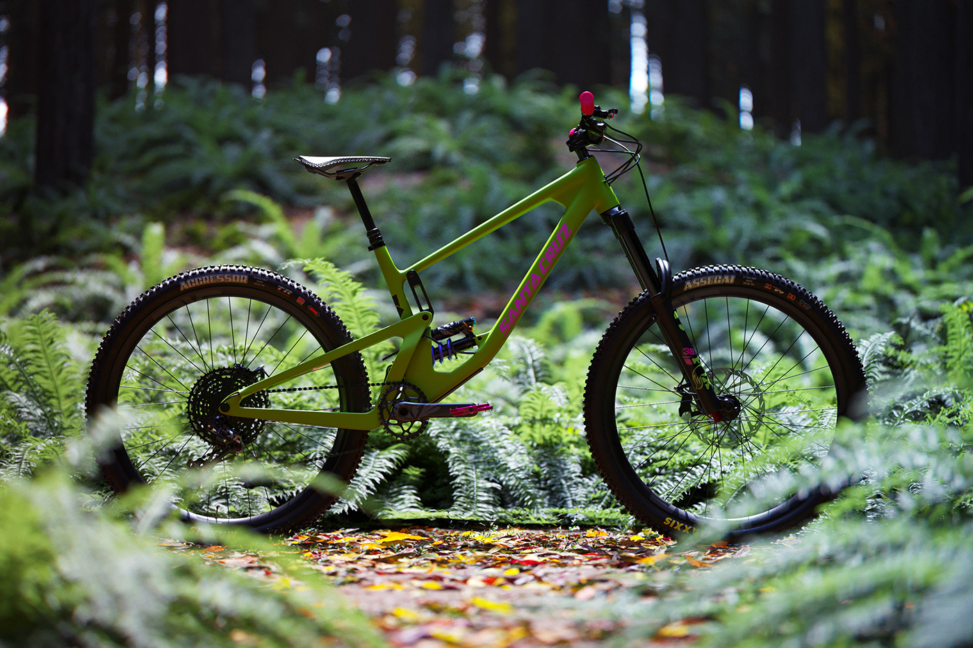 Bicycle，fictitious，park，Photography，