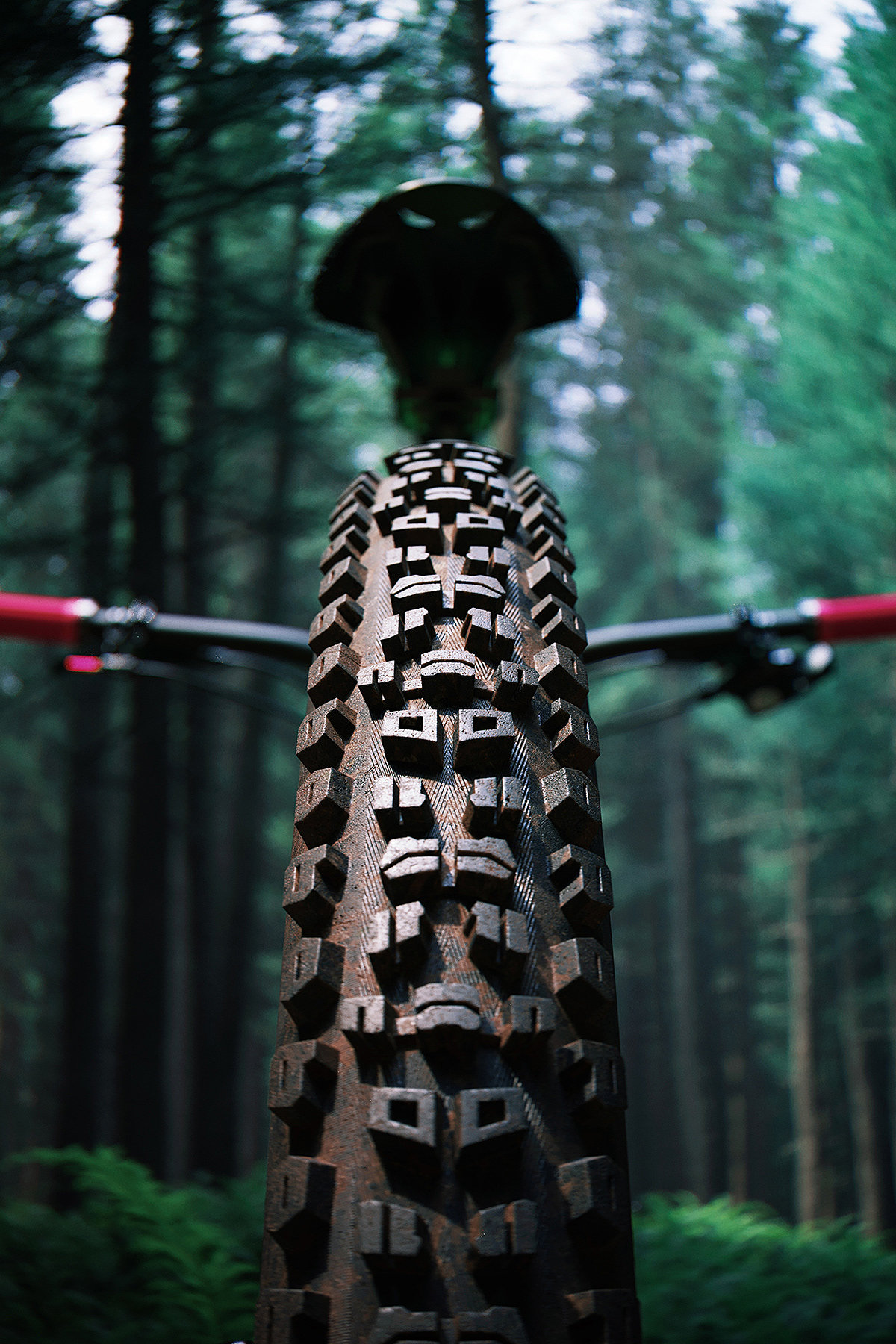 Bicycle，fictitious，park，Photography，