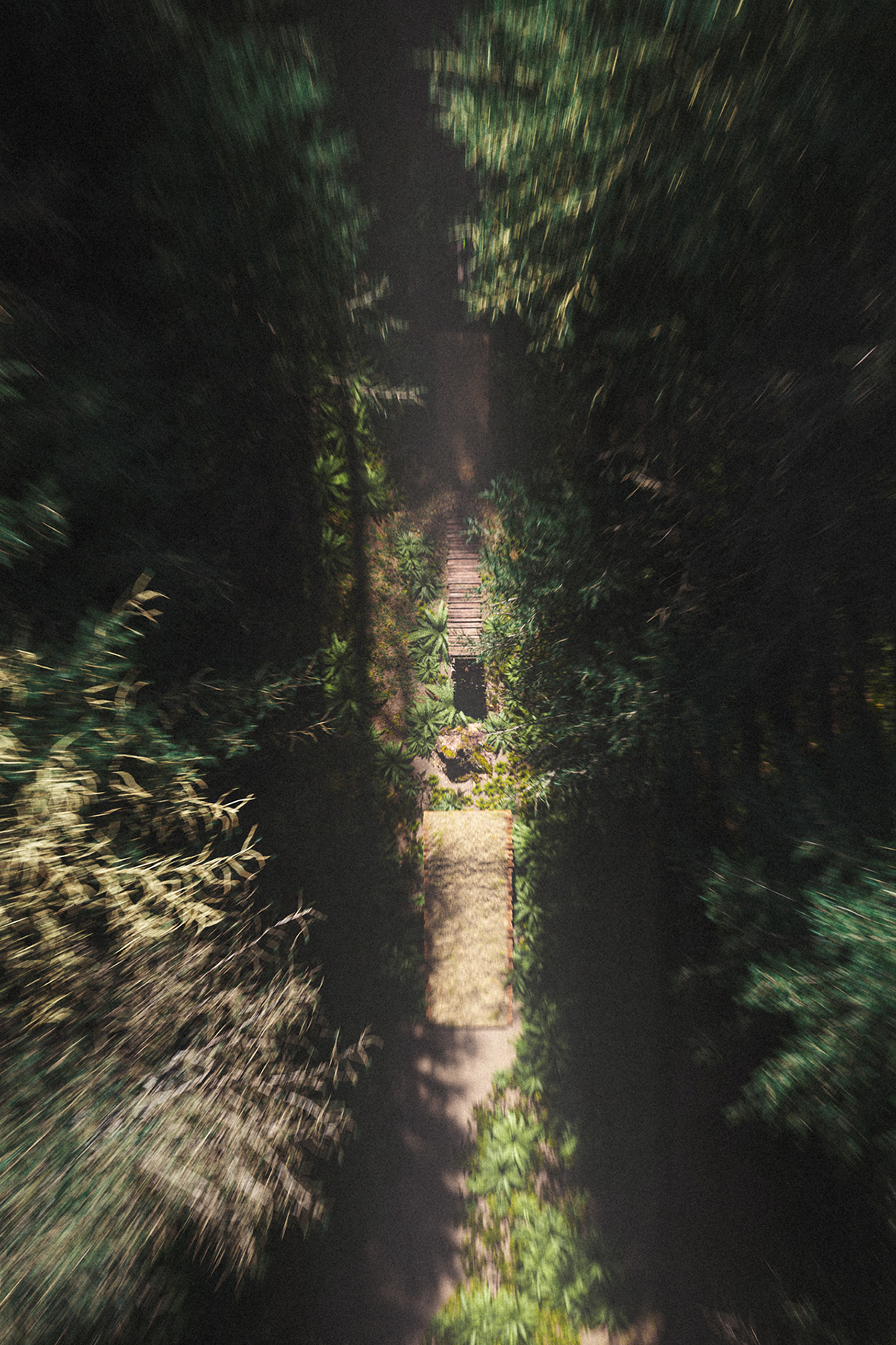 Bicycle，fictitious，park，Photography，