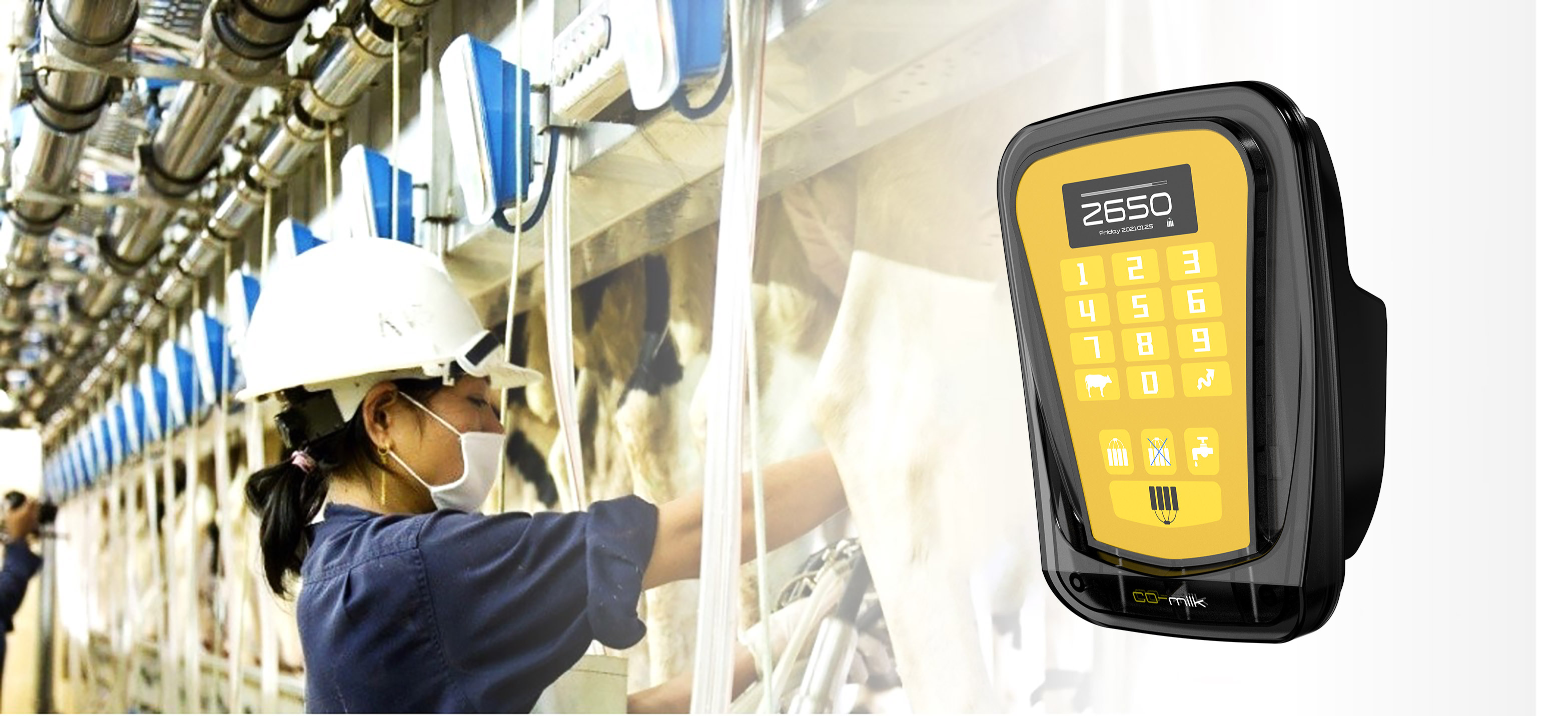 Livestock farm，equipment，milk，