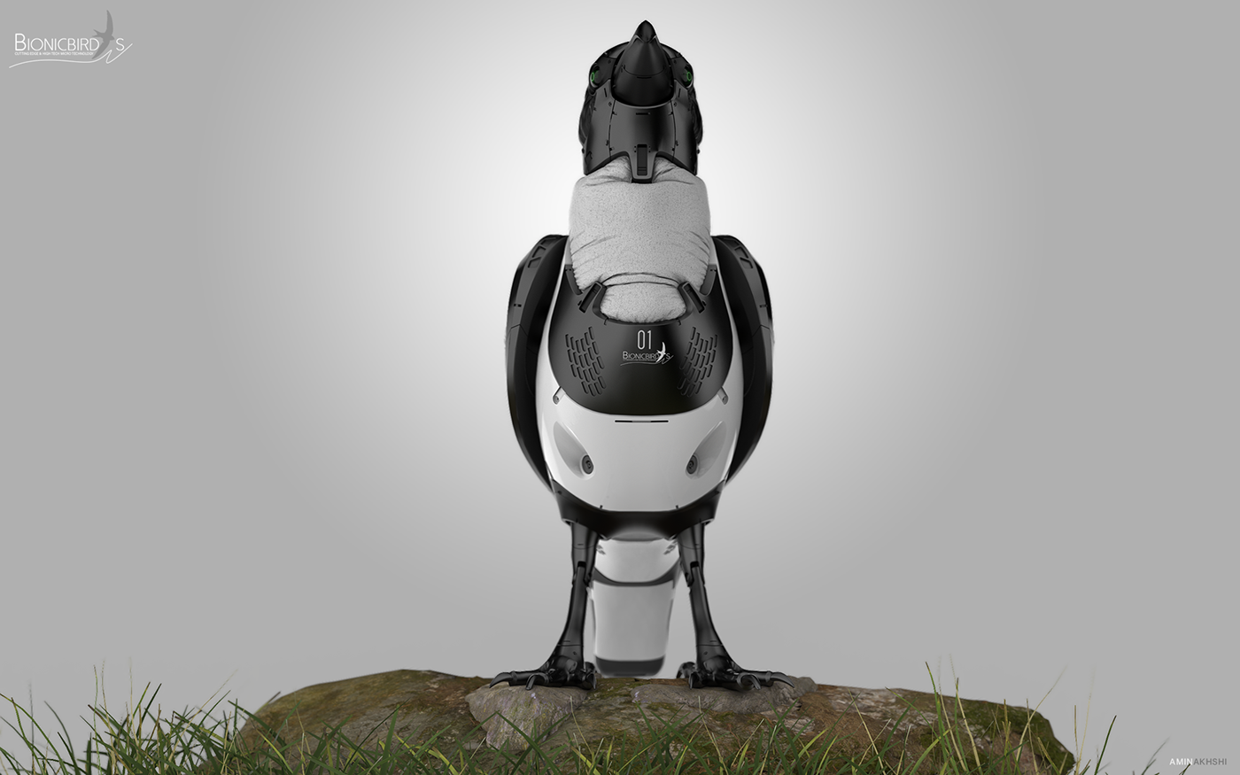 BionicBird，Hooded crow，Model，Amin Akhshi，