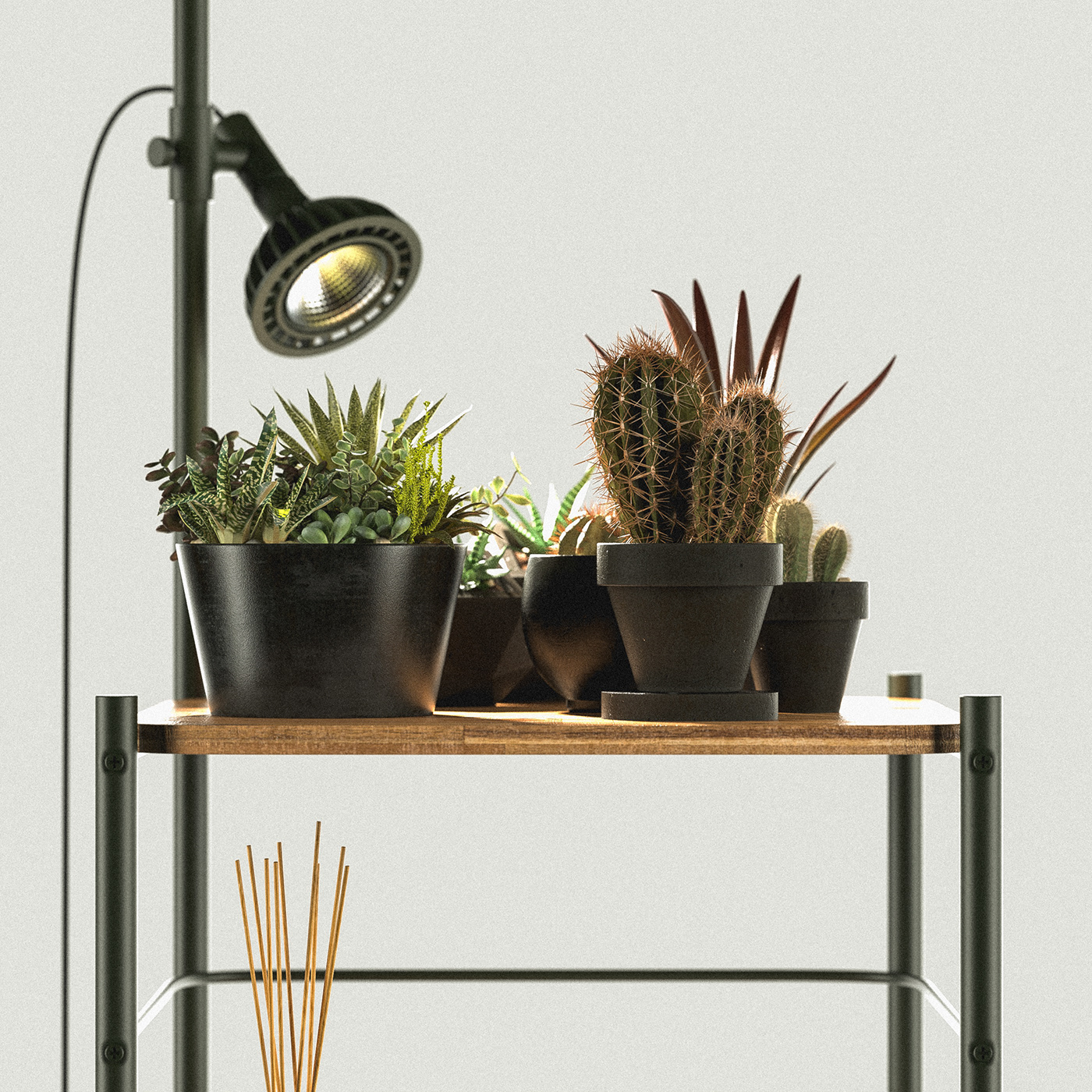 Jason Luo，bookshelf，Storage rack，Plant rack，