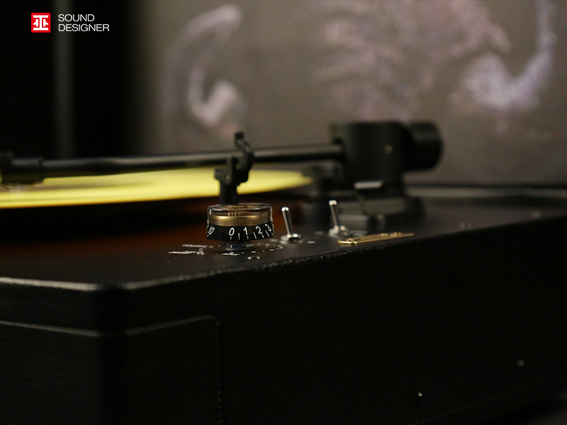 Vinyl record player，Artist co branding，Beauty on the earth，