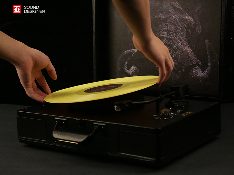 Vinyl record player，Artist co branding，Beauty on the earth，